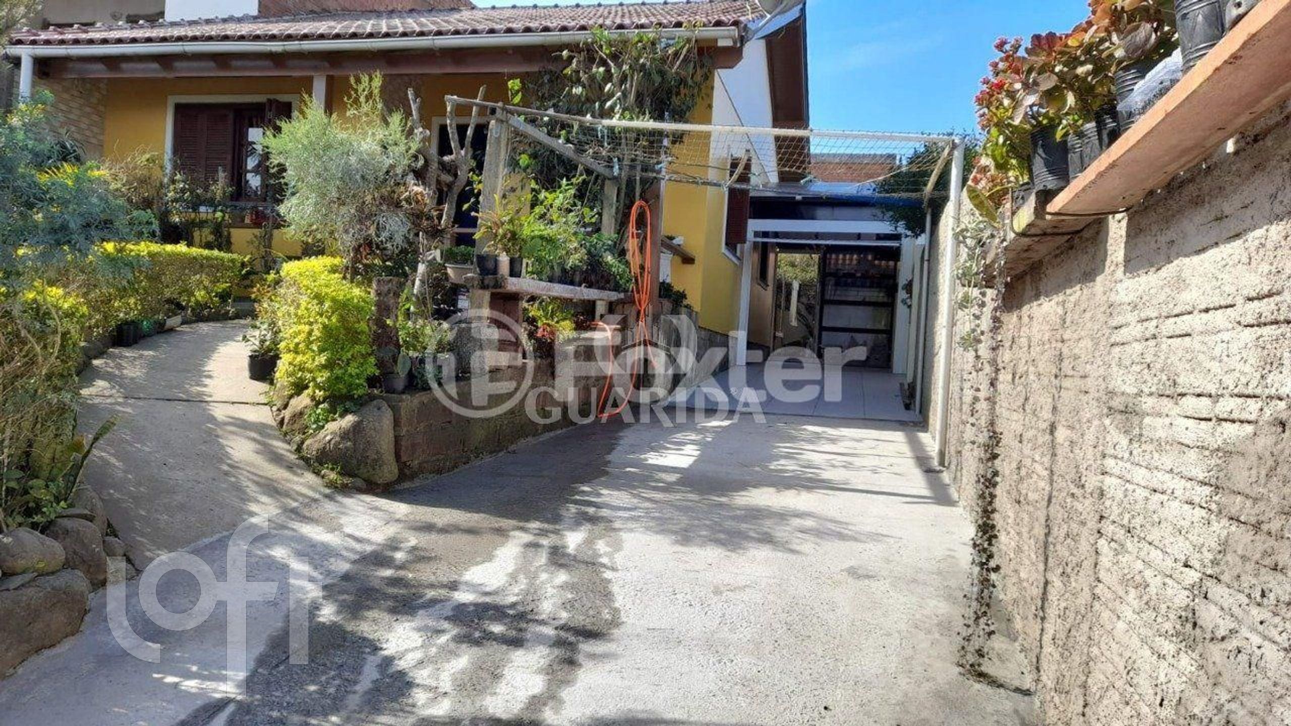 Imagem da propriedade 3