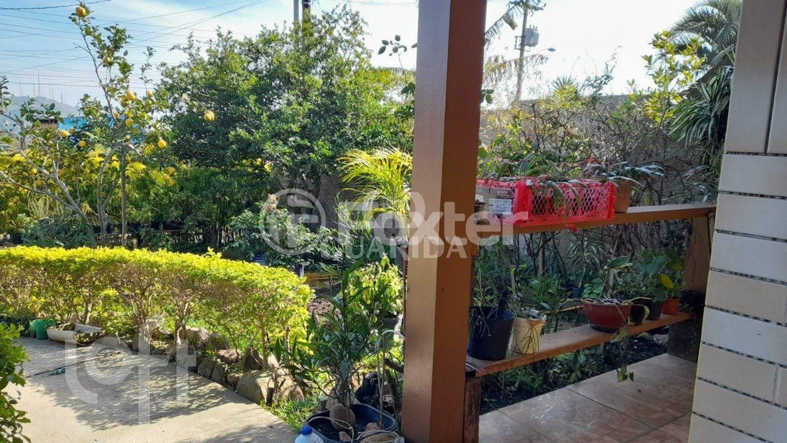 Imagem da propriedade 4