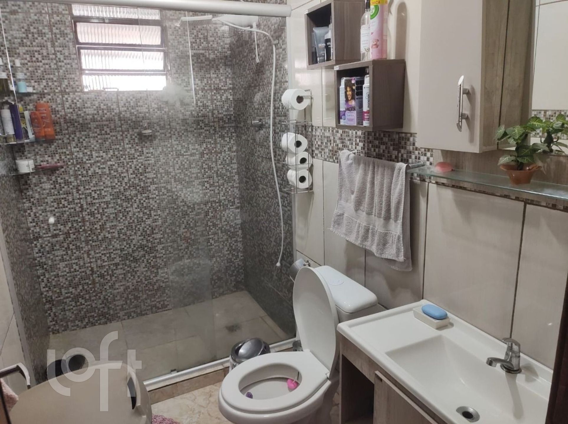 Imagem da propriedade 17