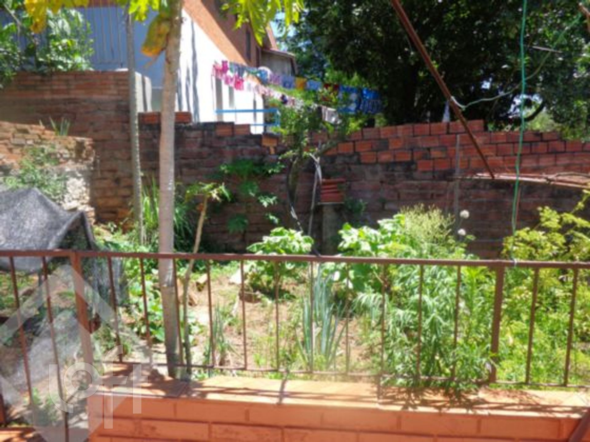 Imagem da propriedade 9