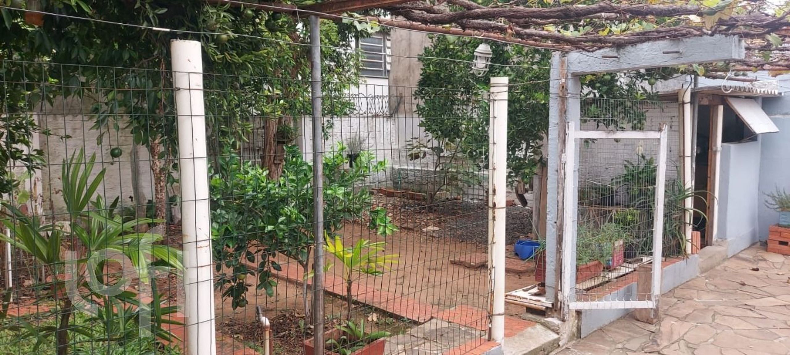 Imagem da propriedade 34