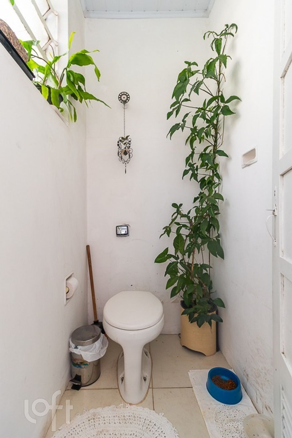 Imagem da propriedade 18