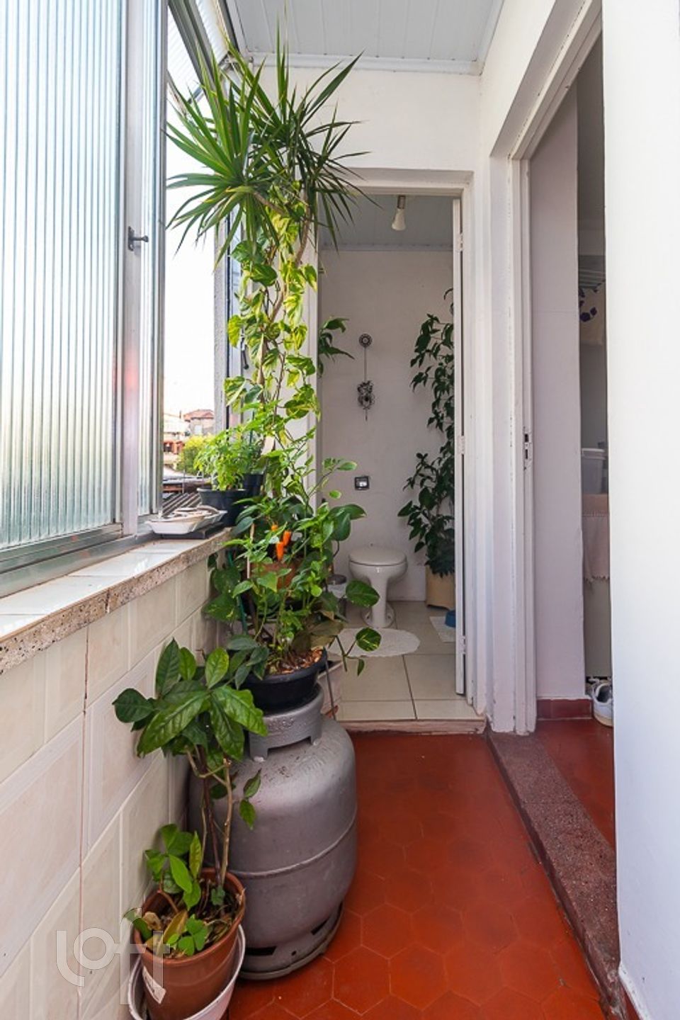 Imagem da propriedade 17