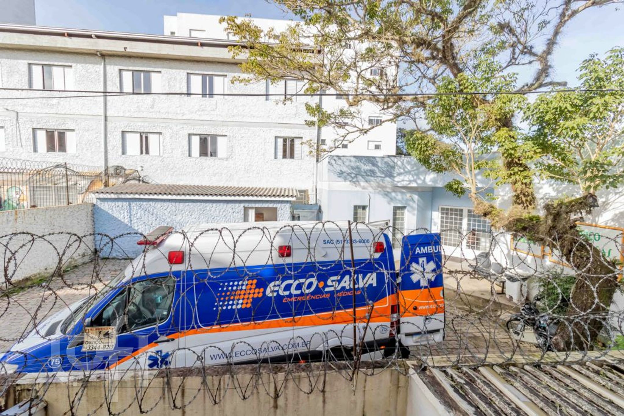 Imagem da propriedade 11