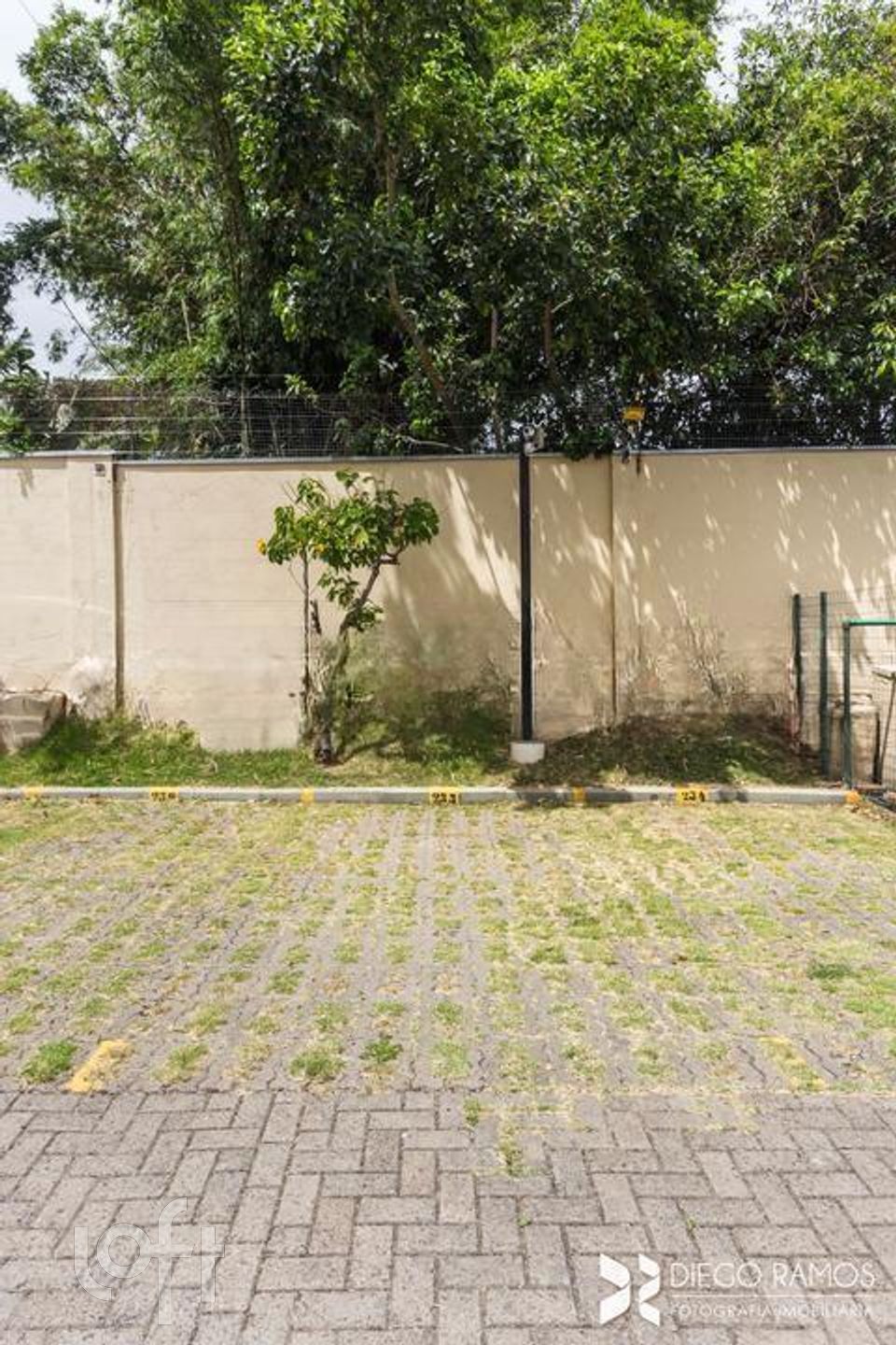 Imagem da propriedade 32