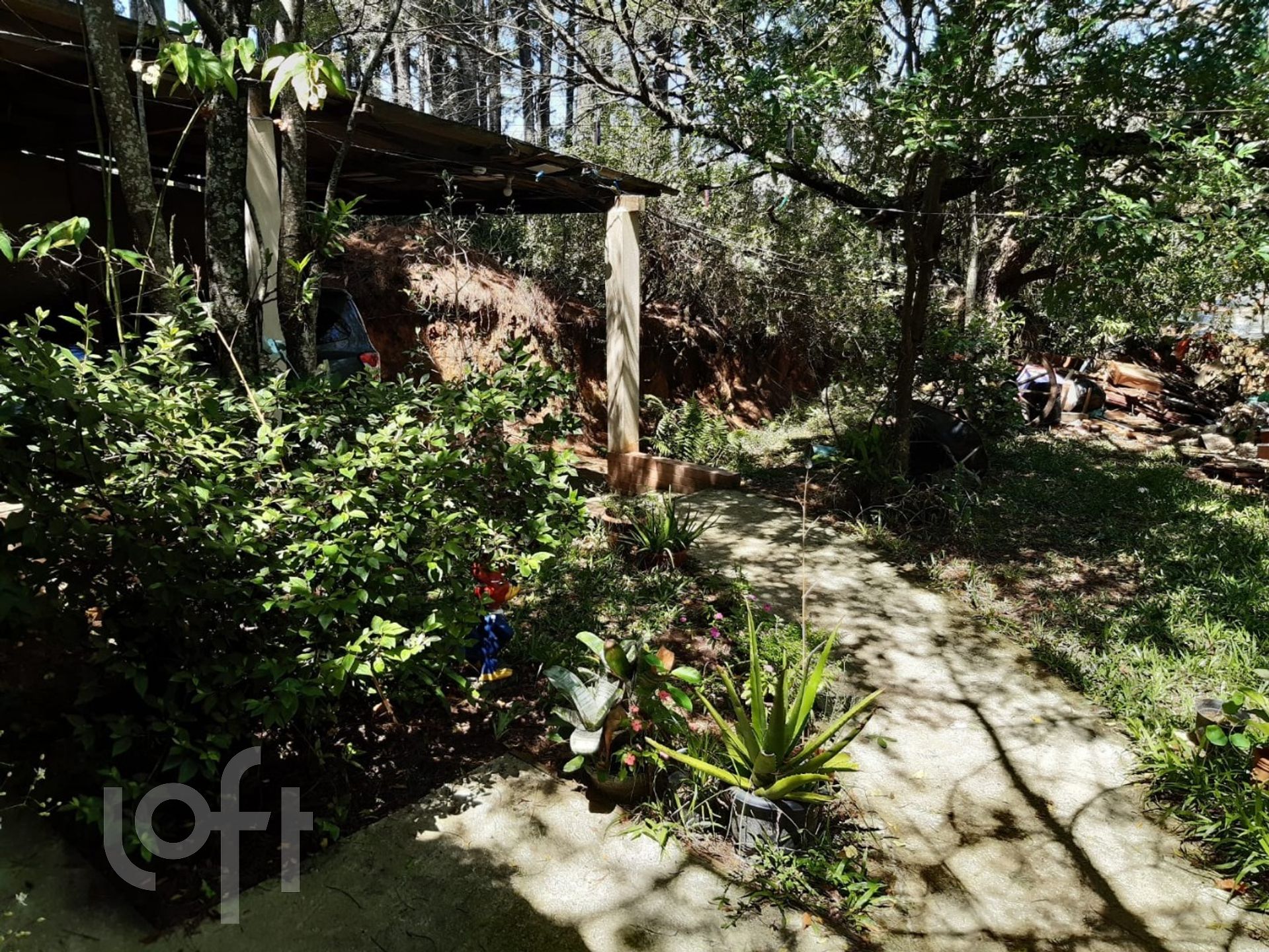 Imagem da propriedade 11