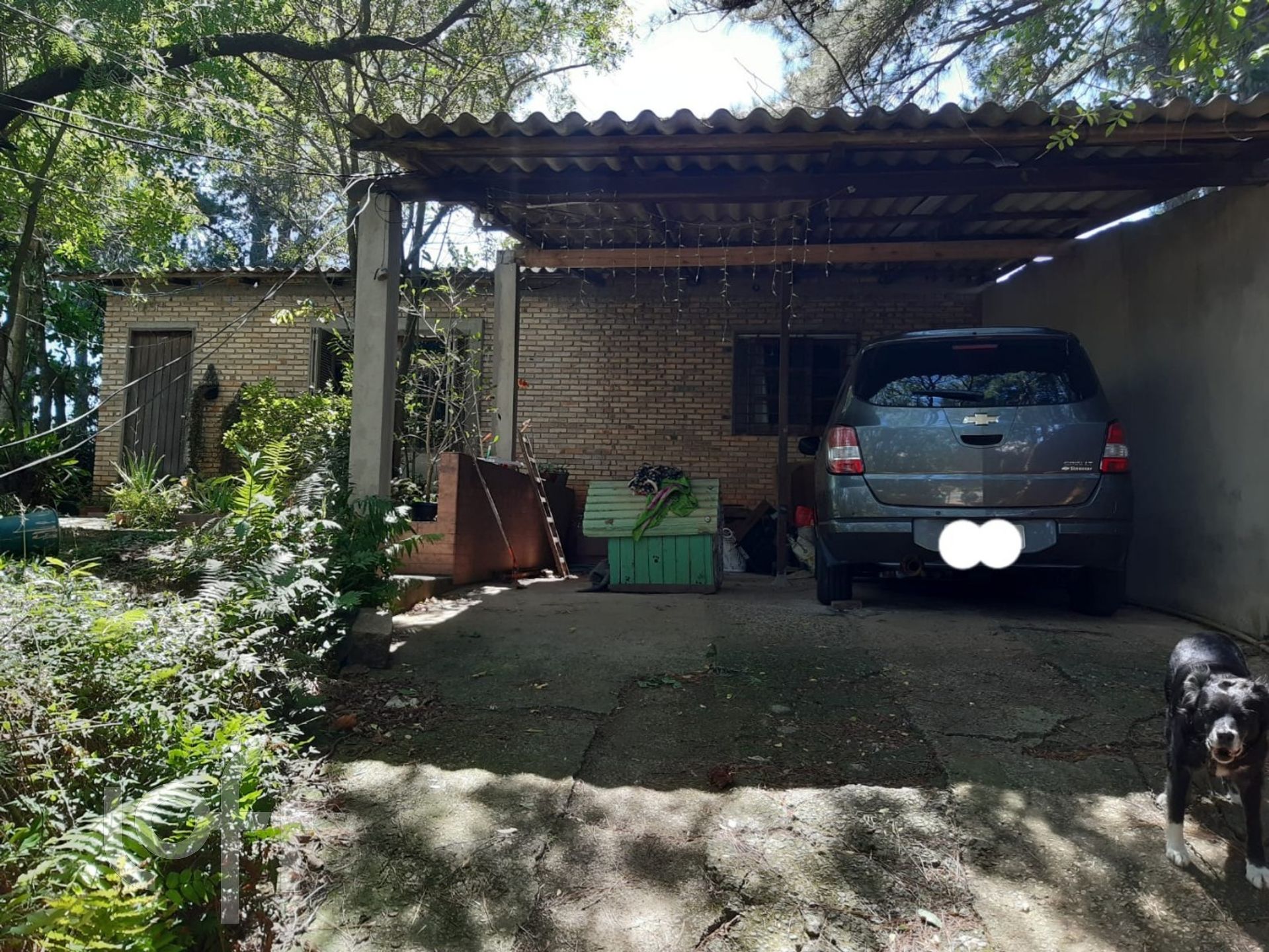 Imagem da propriedade 18