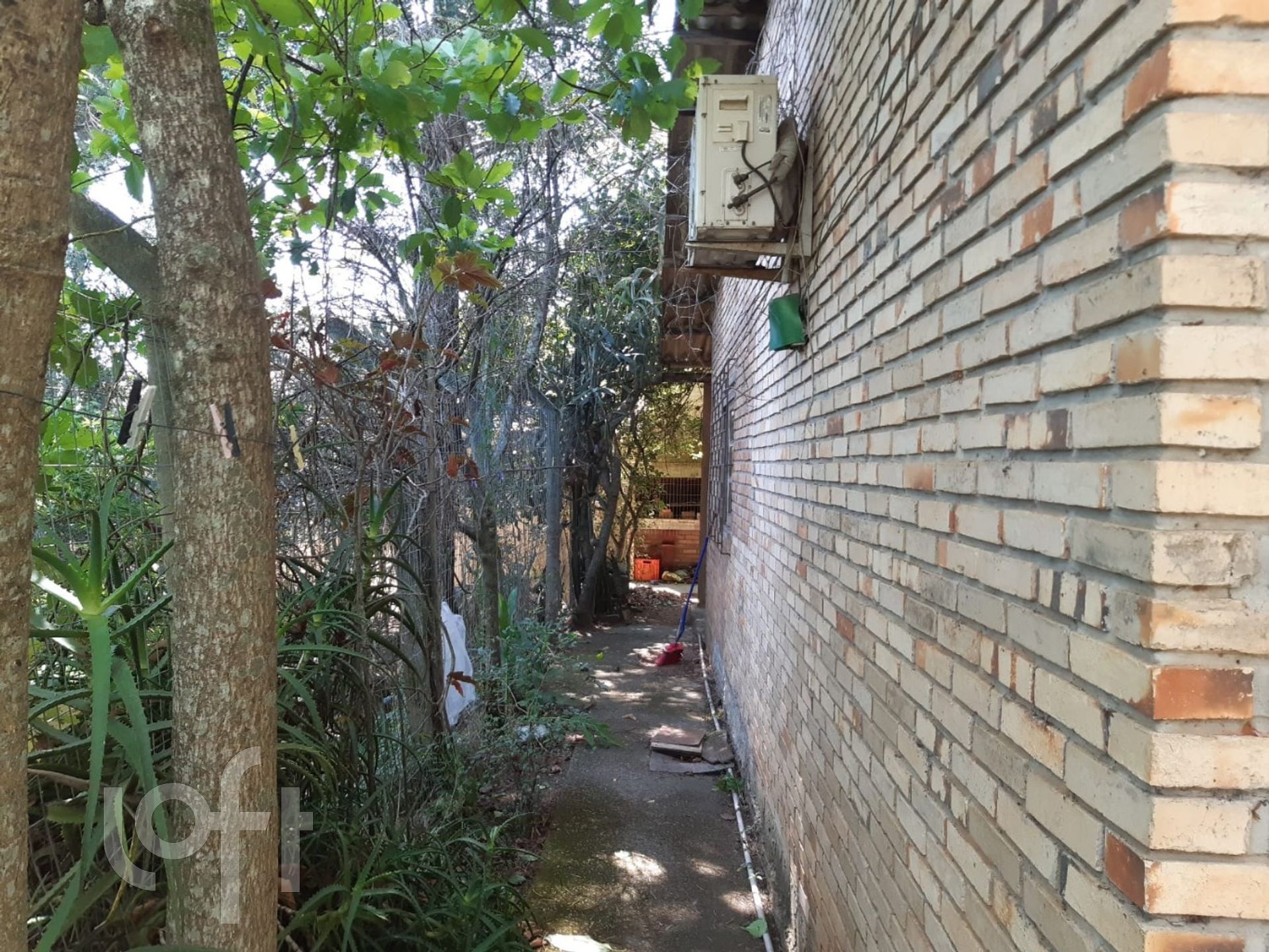 Imagem da propriedade 10