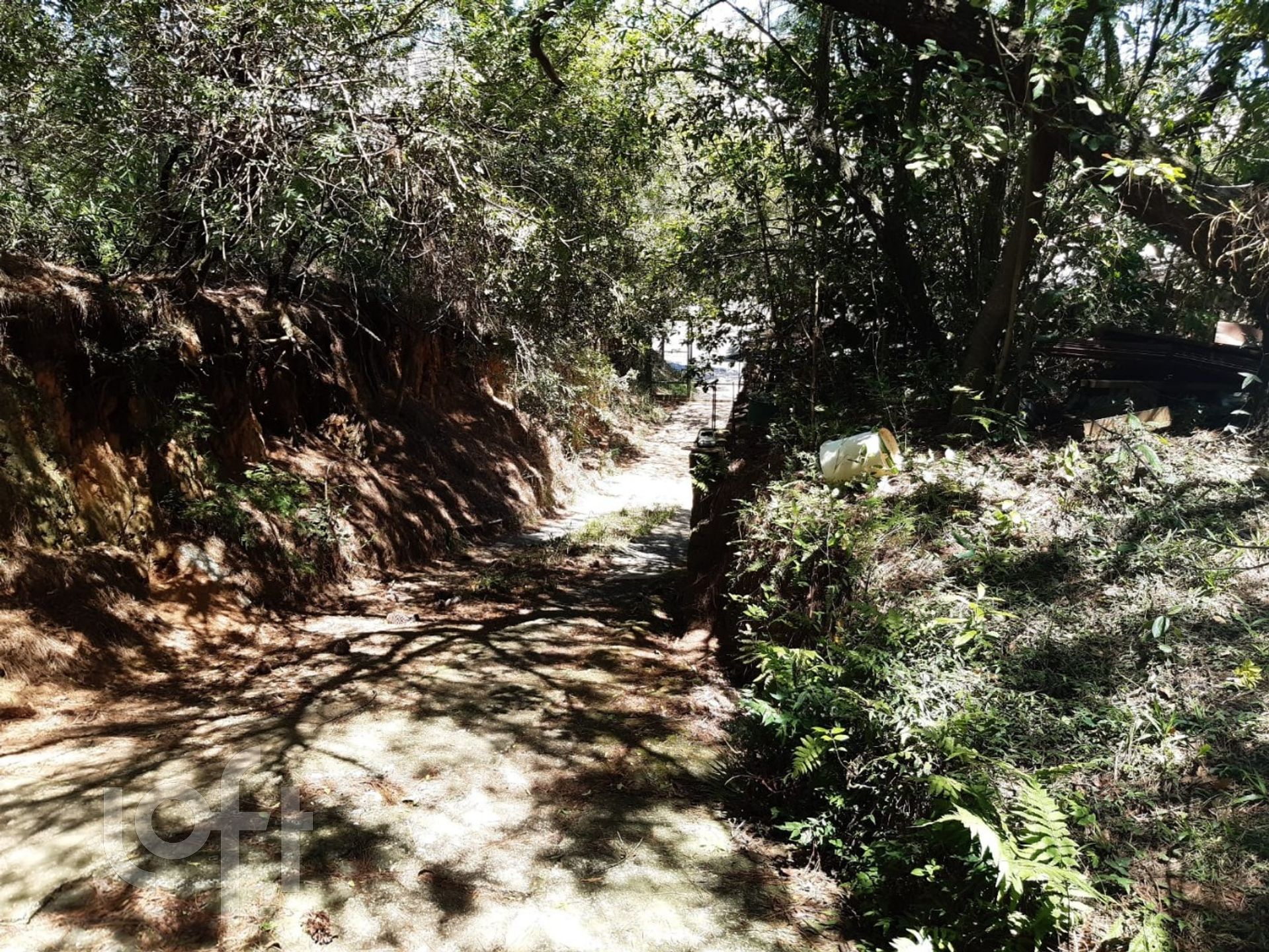 Imagem da propriedade 6