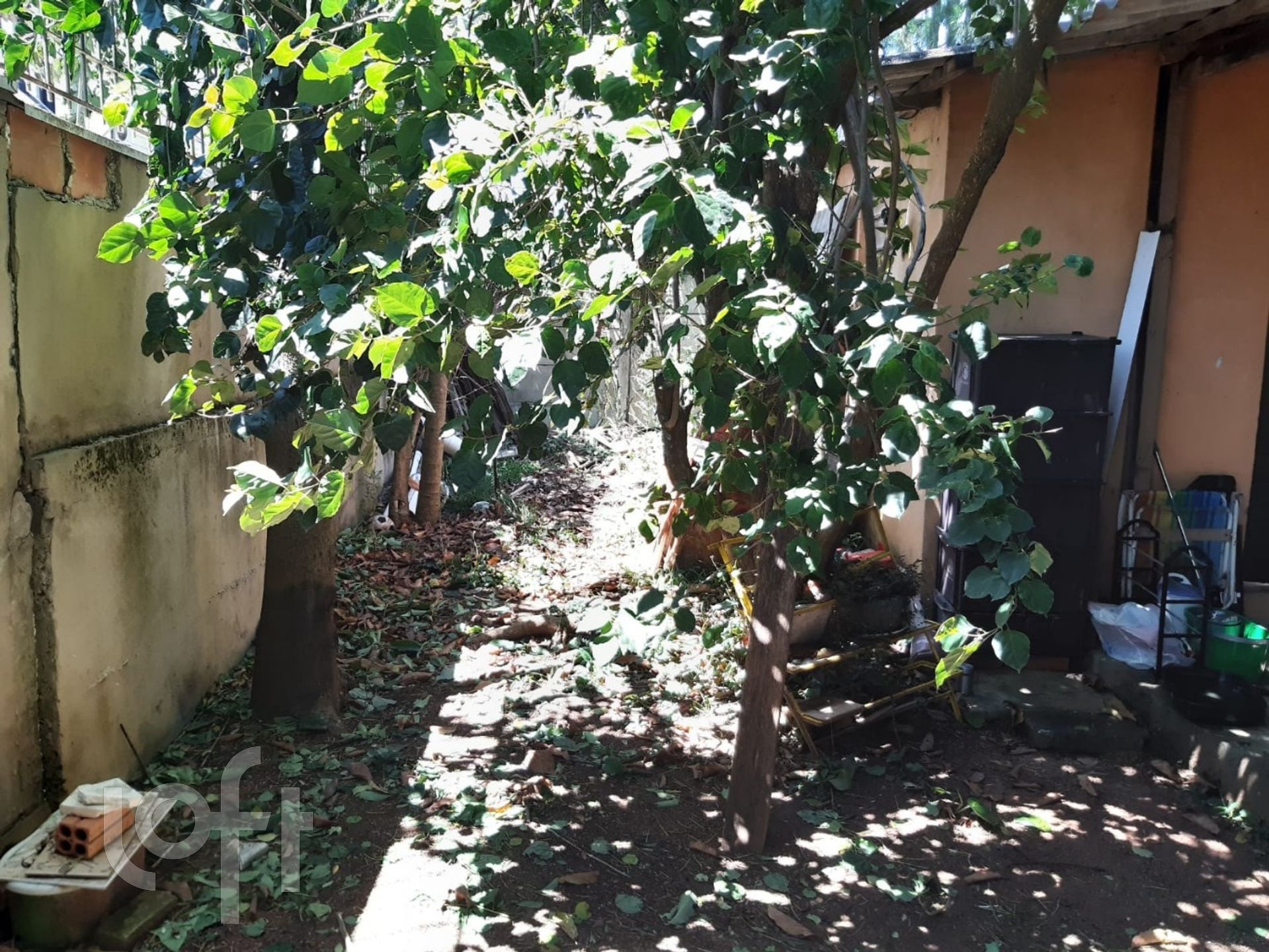 Imagem da propriedade 7