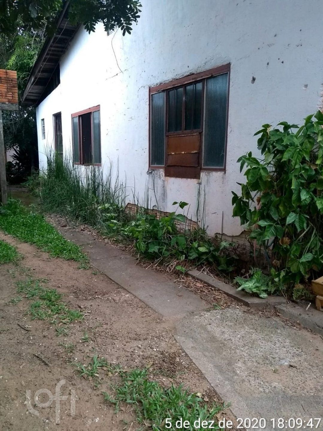 Imagem da propriedade 5