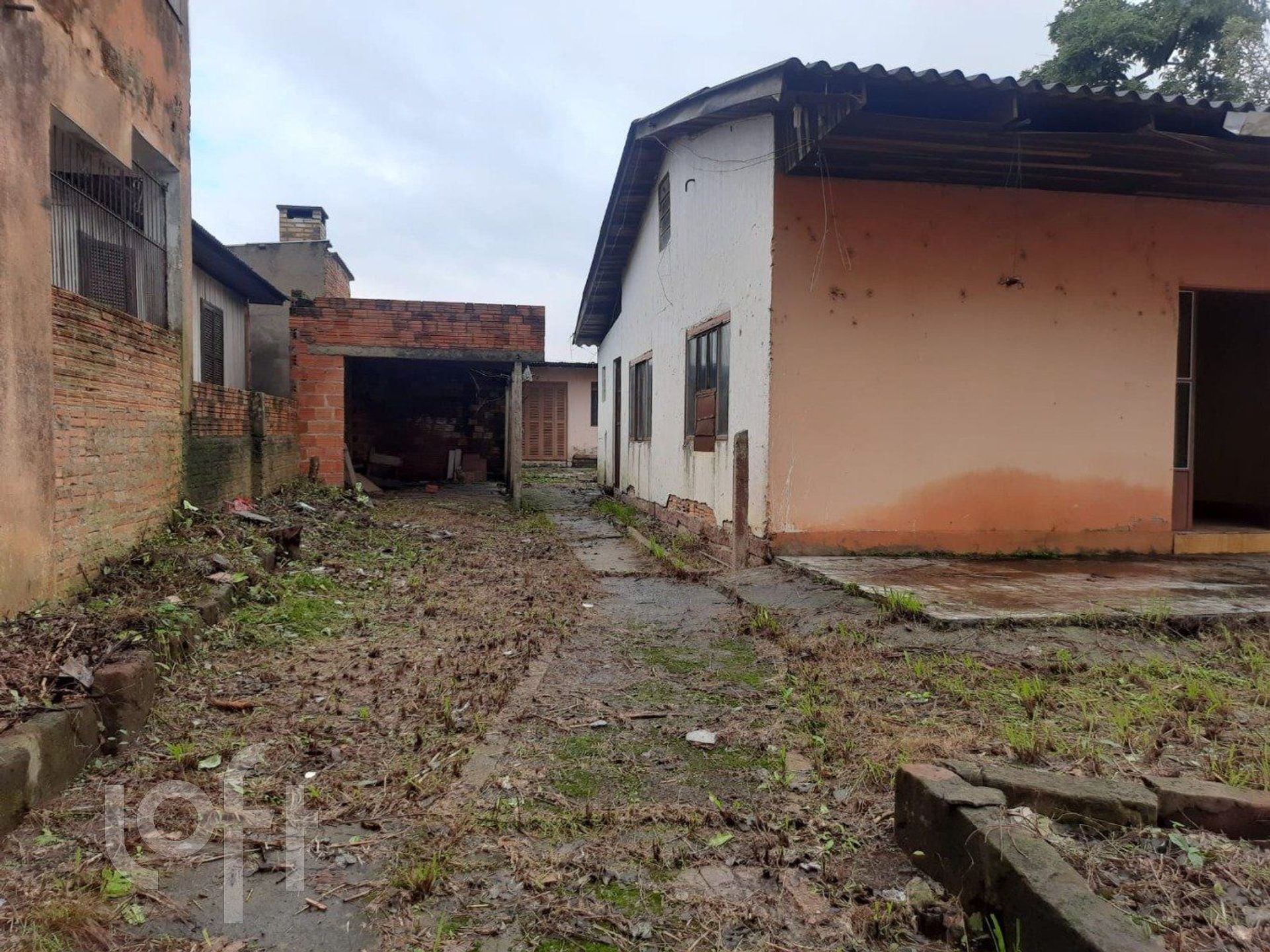 Imagem da propriedade 3