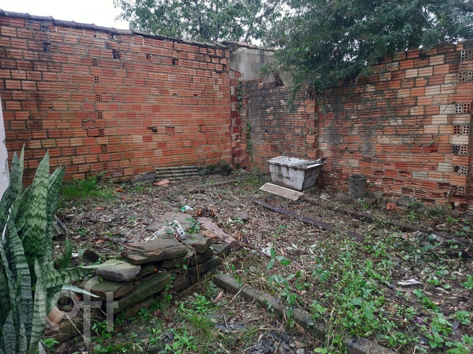 Imagem da propriedade 8