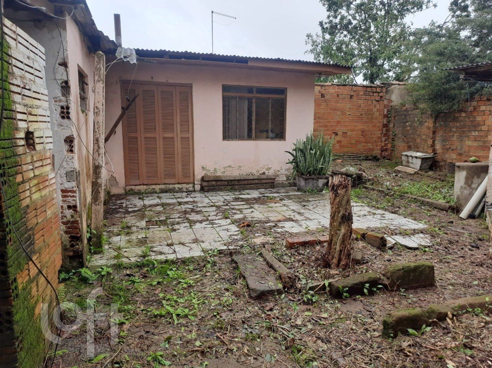 Imagem da propriedade 26