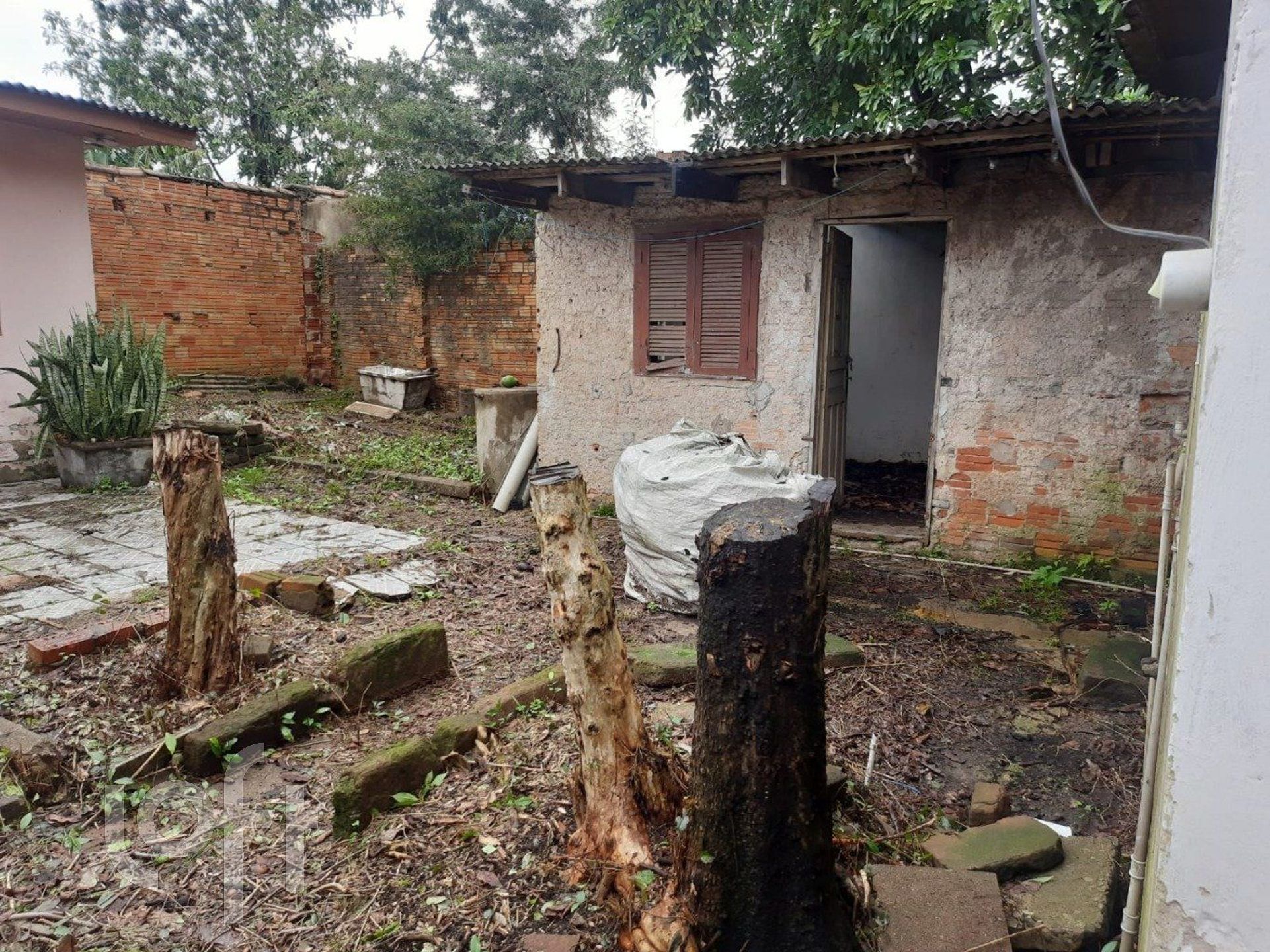 Imagem da propriedade 9