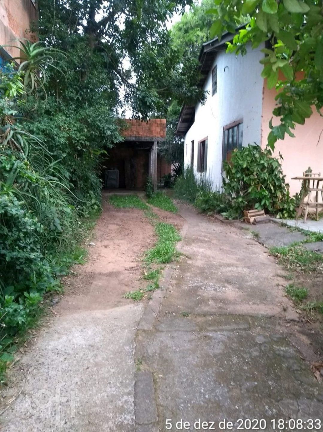 Imagem da propriedade 6