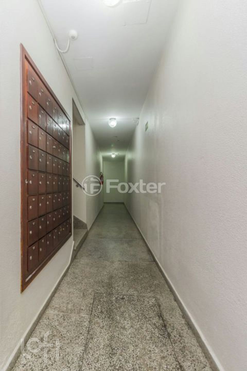 Imagem da propriedade 19