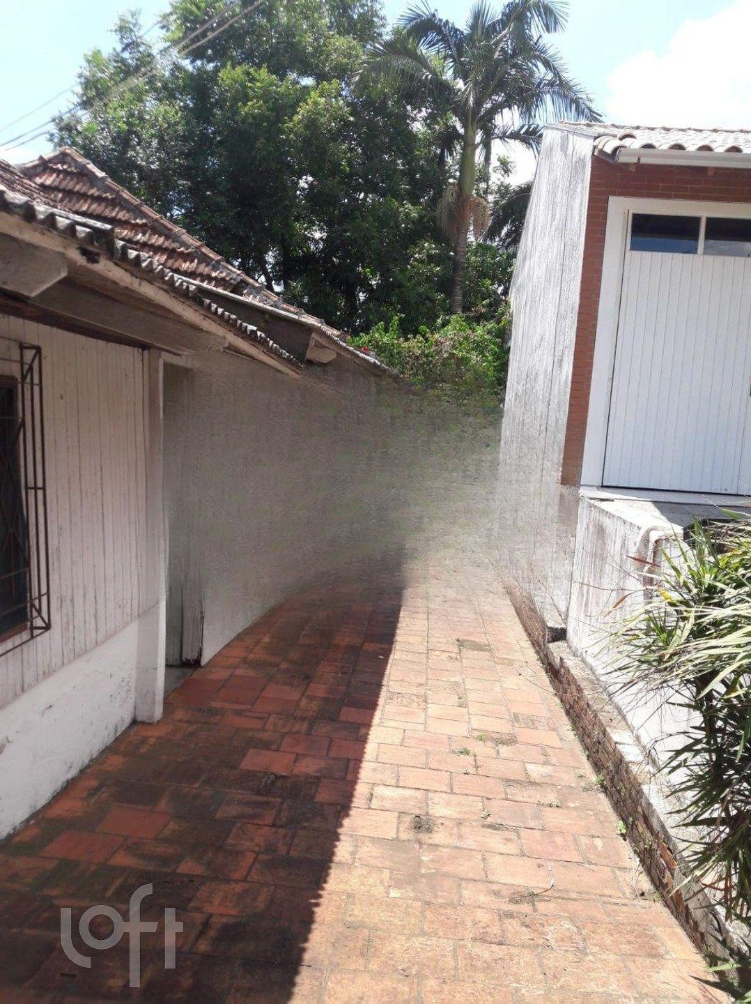 Imagem da propriedade 21