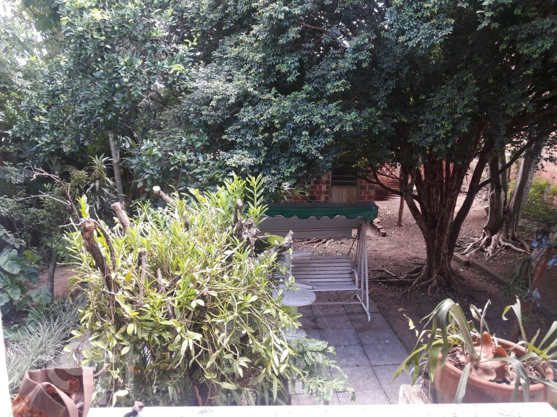 Imagem da propriedade 18