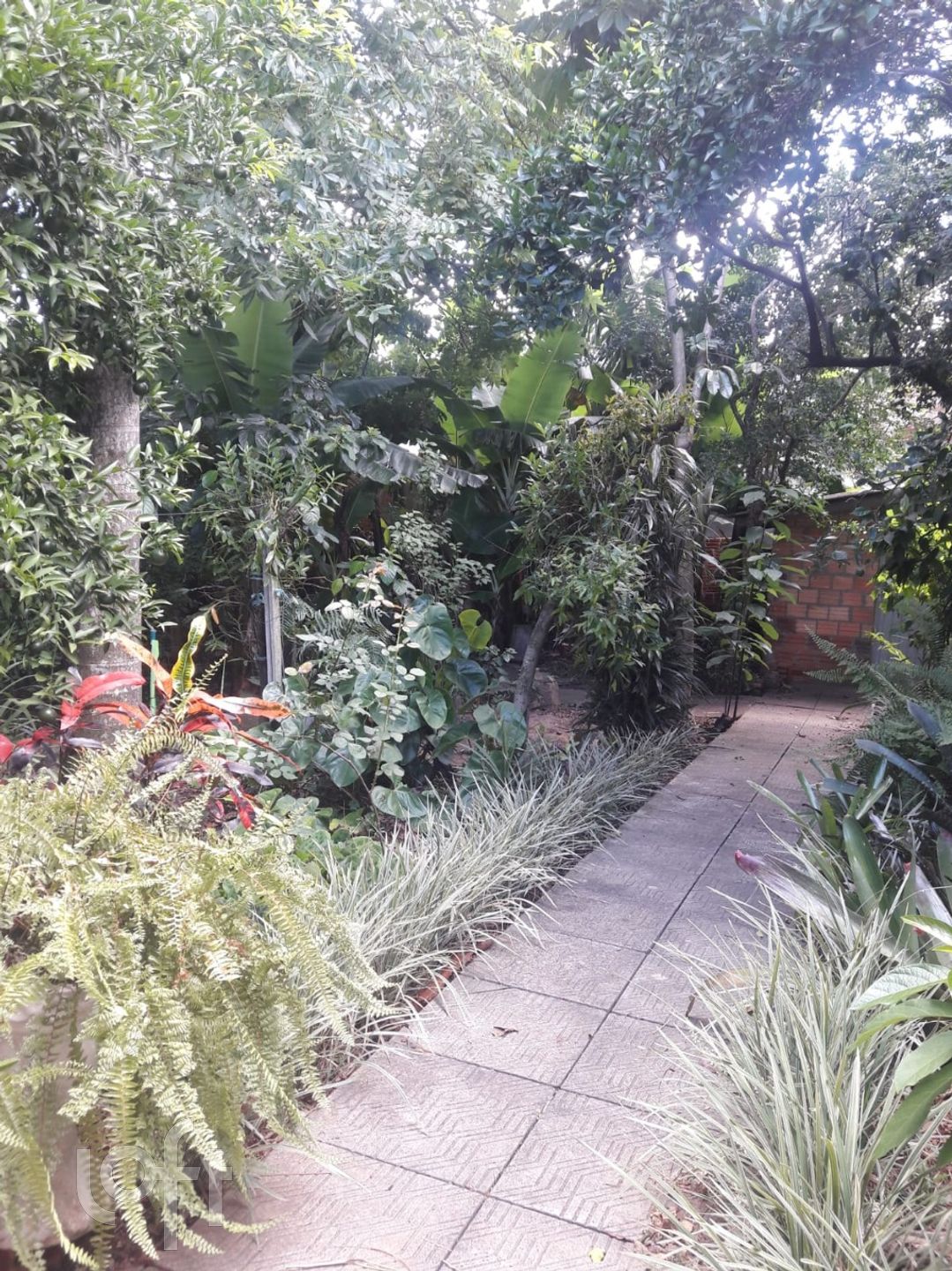 Imagem da propriedade 19