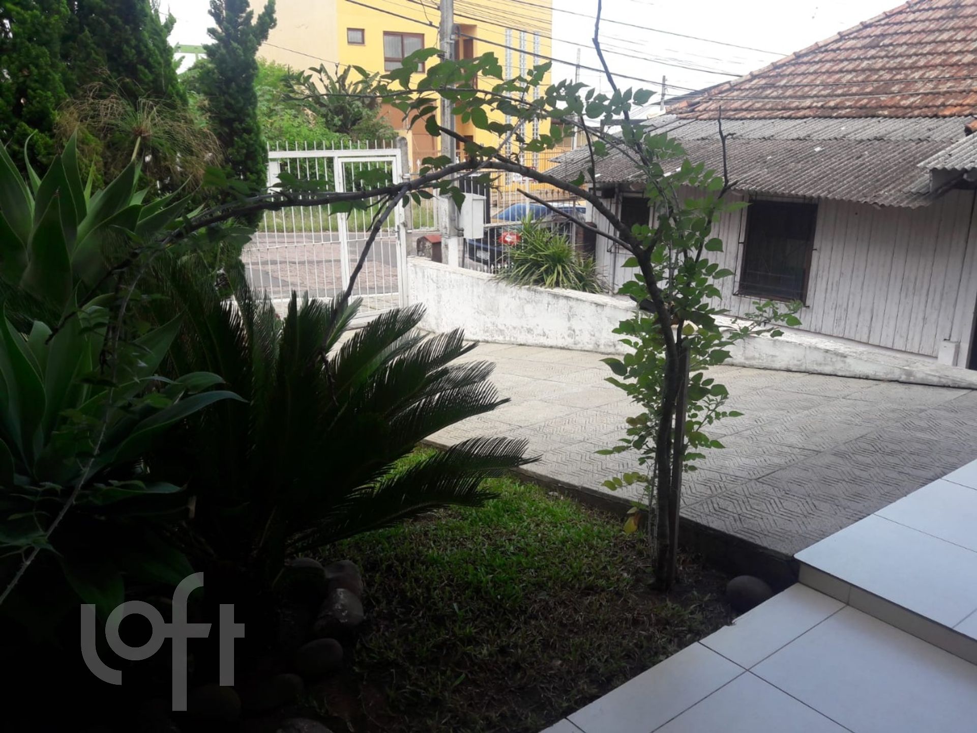 Imagem da propriedade 5