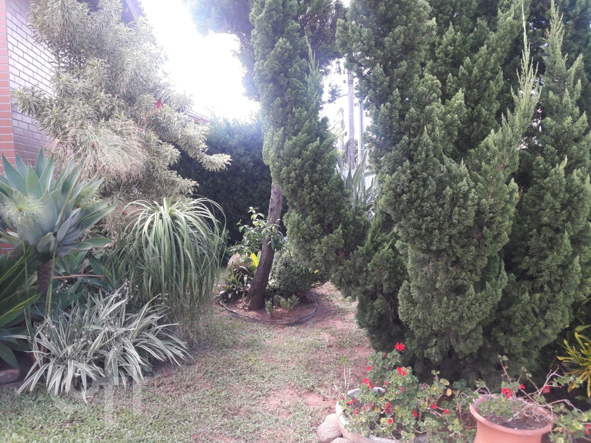 Imagem da propriedade 20