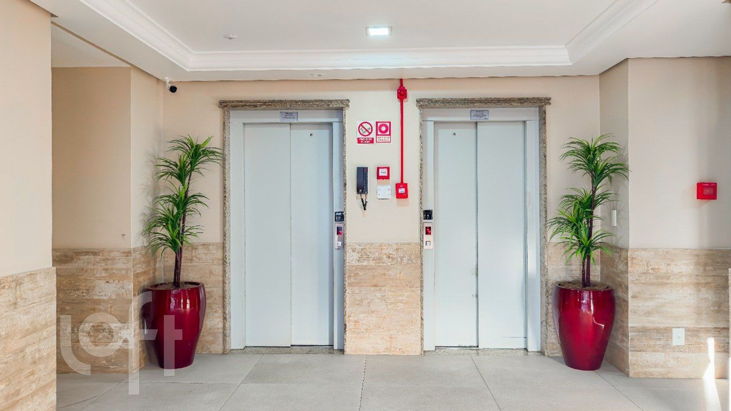 Imagem da propriedade 36