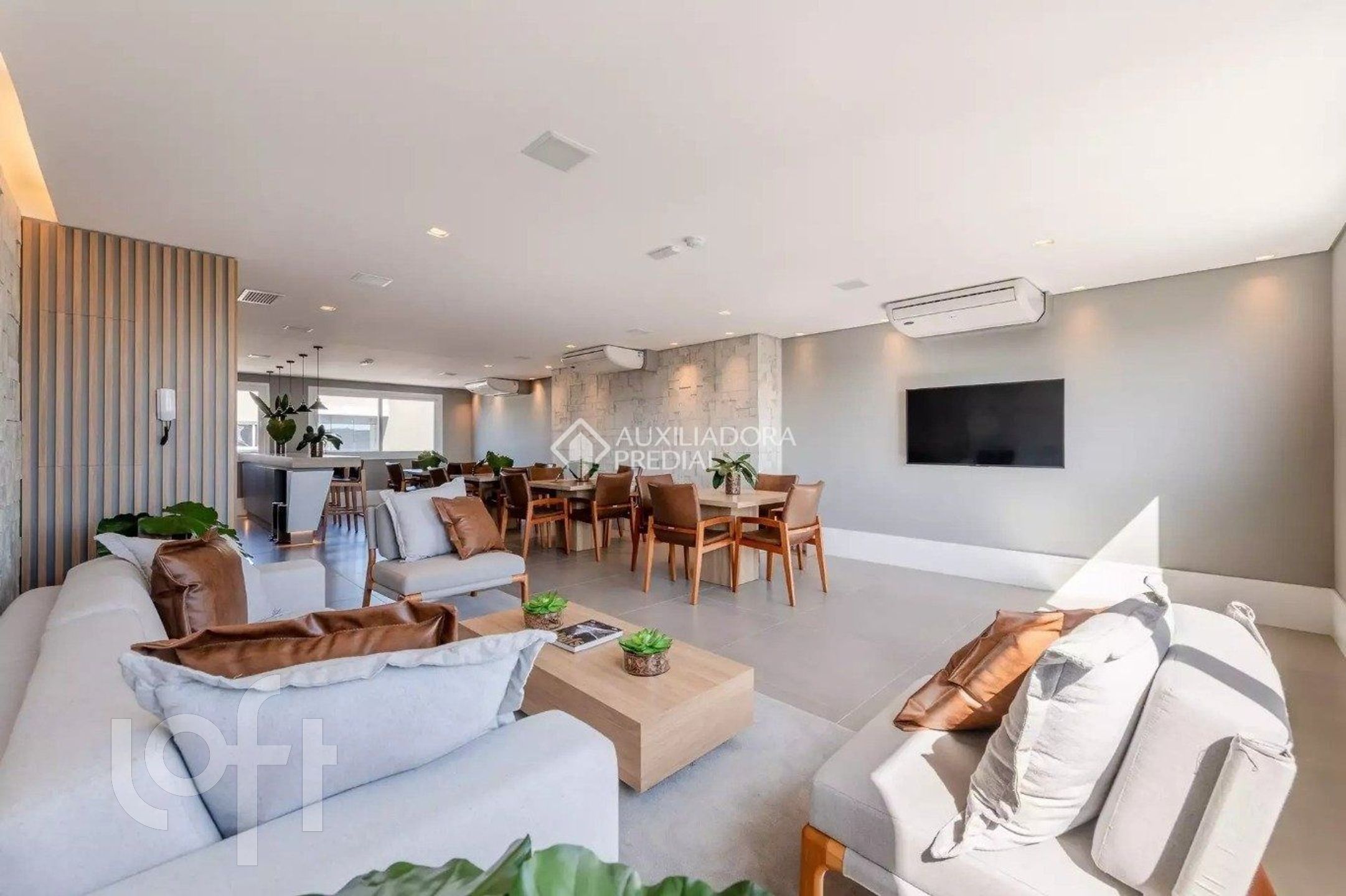 Imagem da propriedade 18