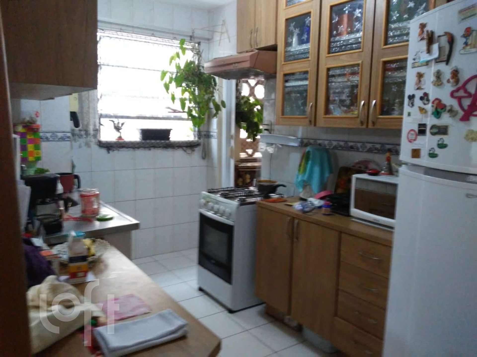 Imagem da propriedade 6