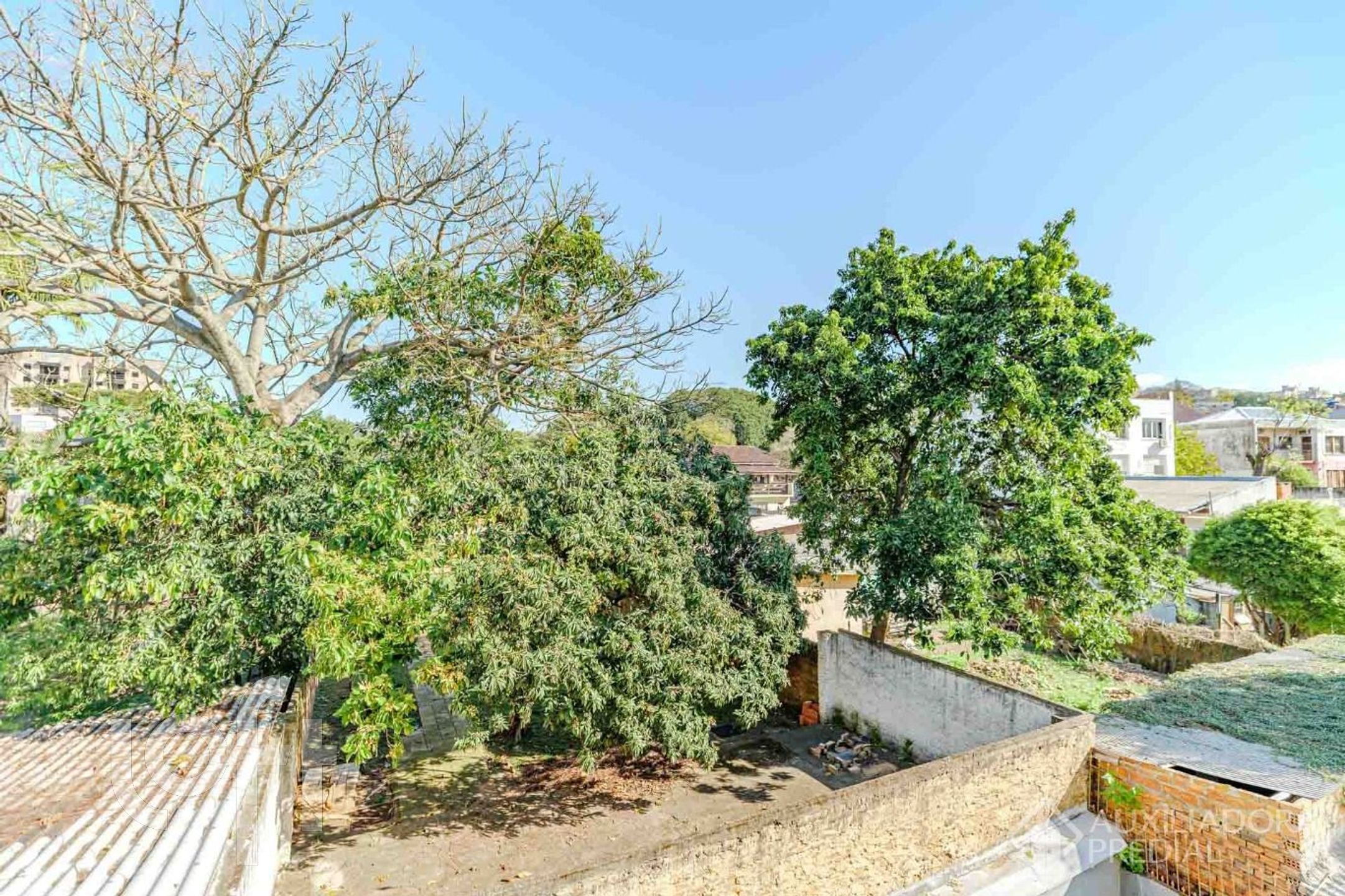 Imagem da propriedade 23