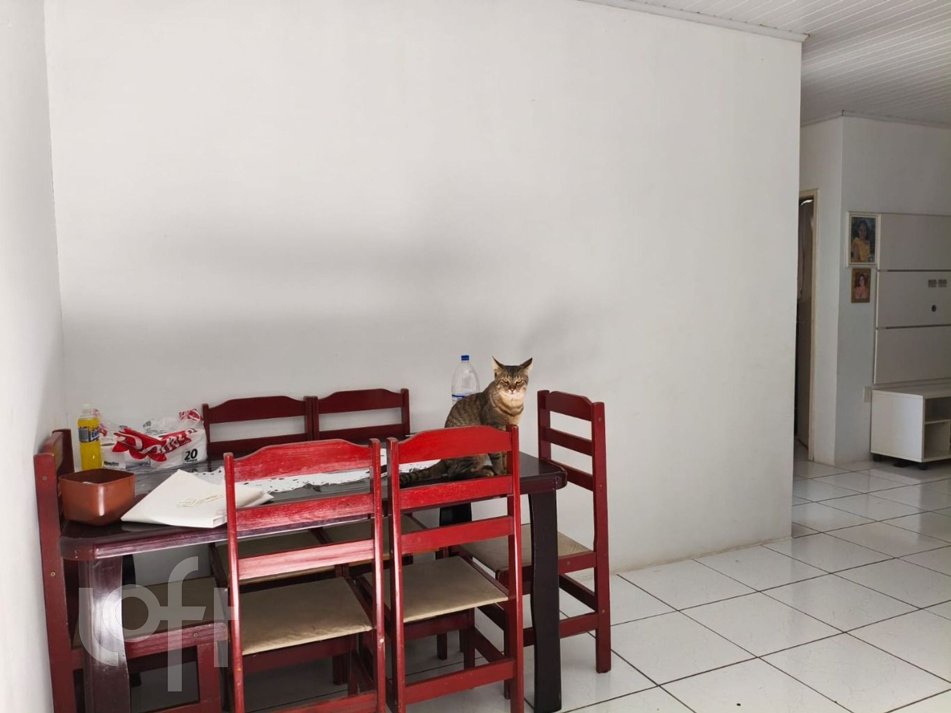 Imagem da propriedade 5