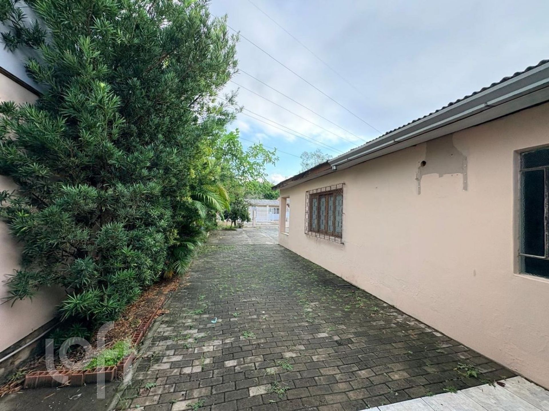 Imagem da propriedade 12