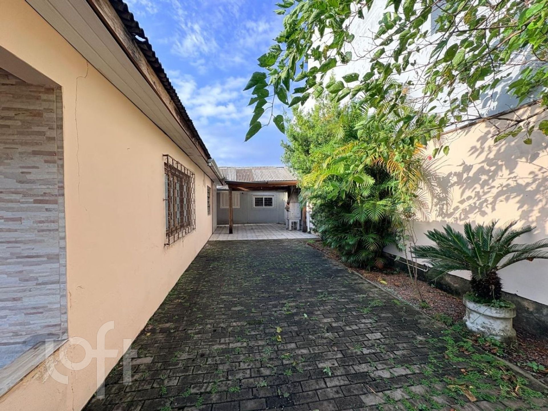 Imagem da propriedade 3