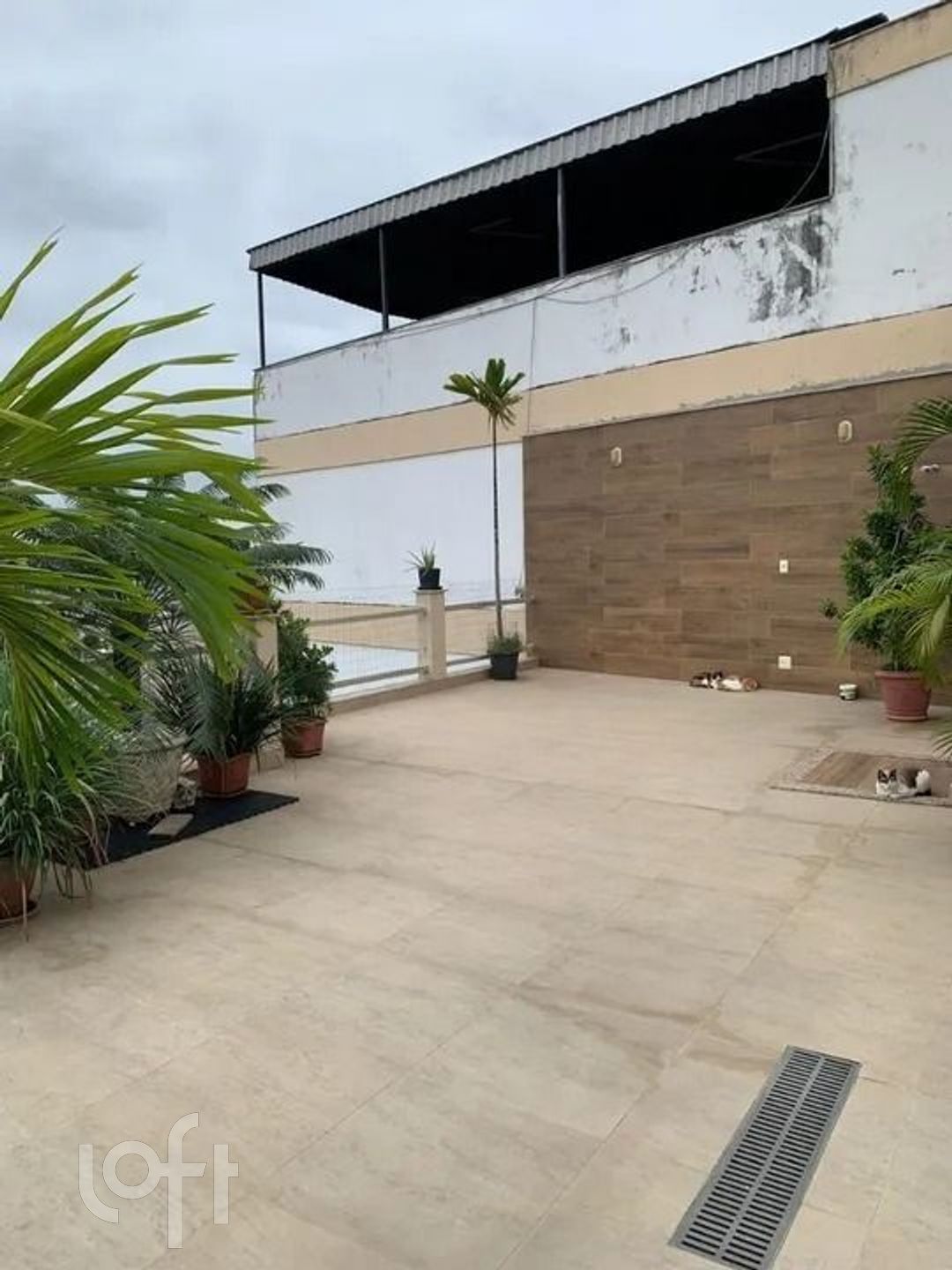 Imagem da propriedade 15