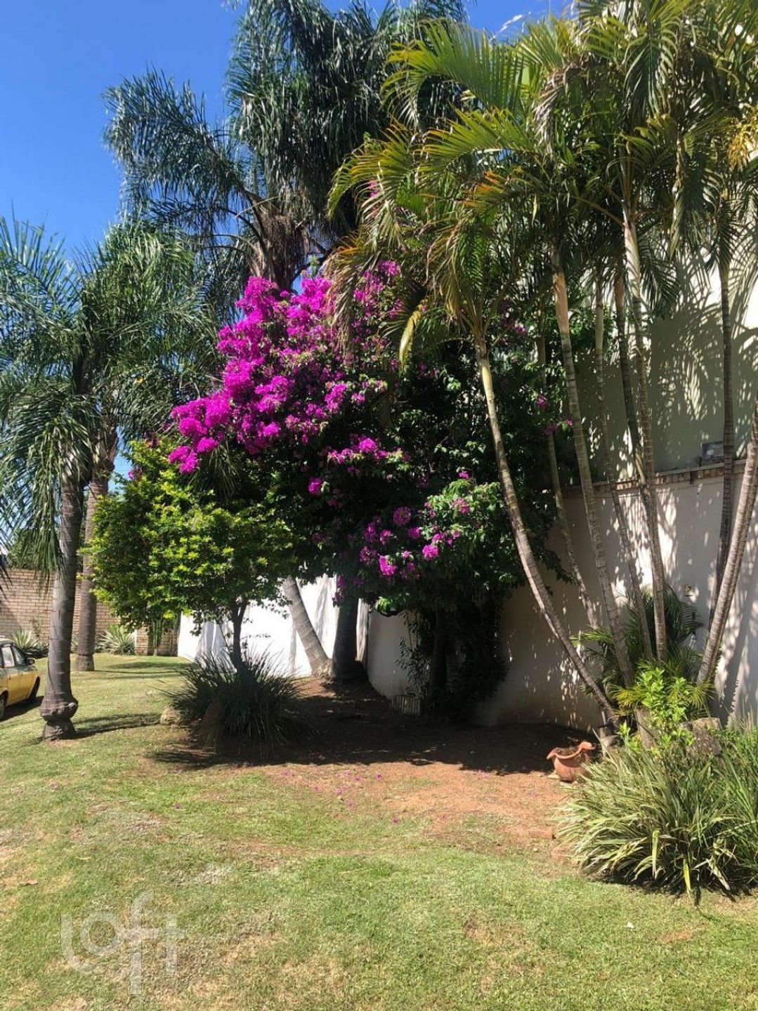 Imagem da propriedade 5