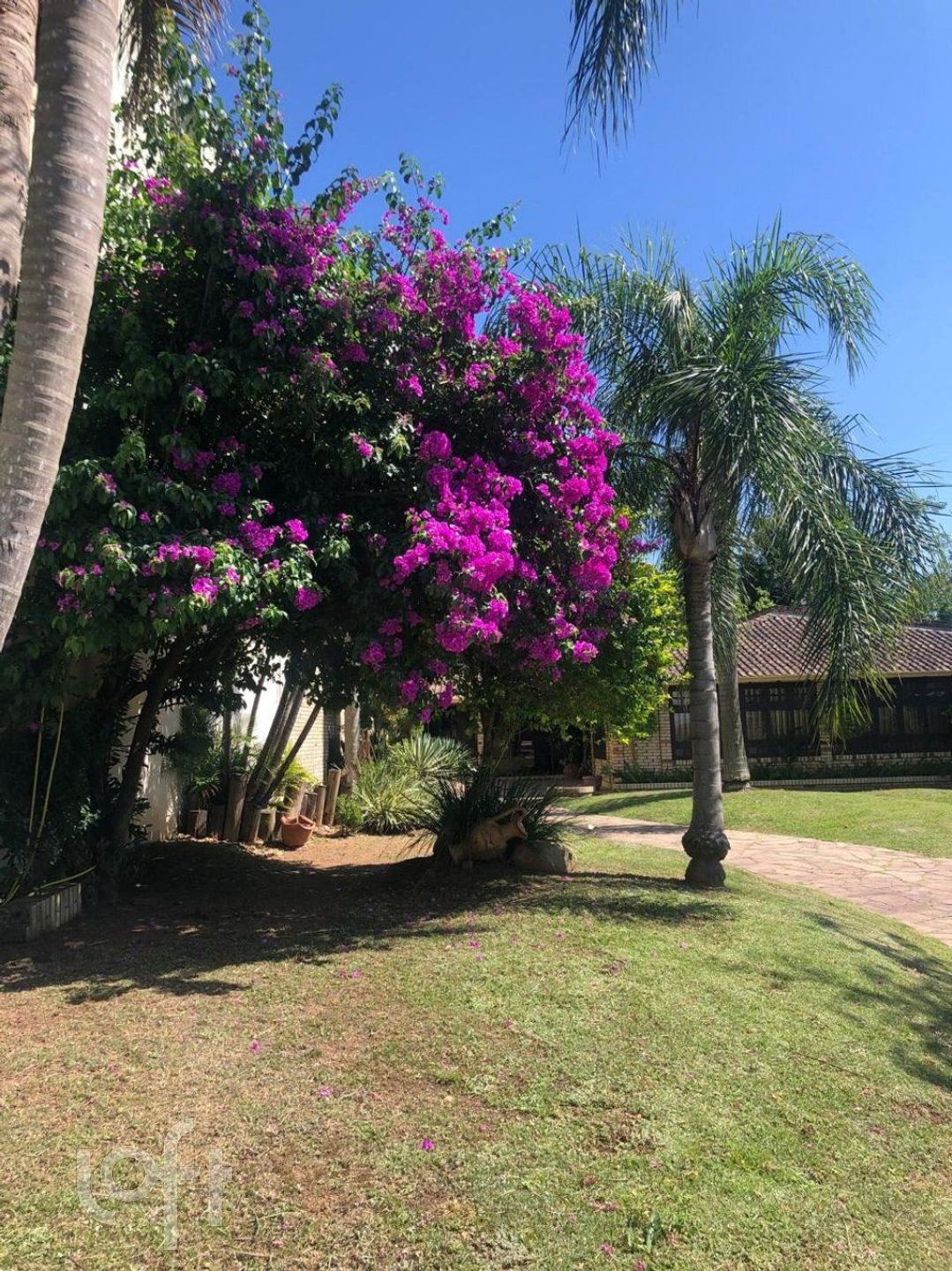 Imagem da propriedade 8