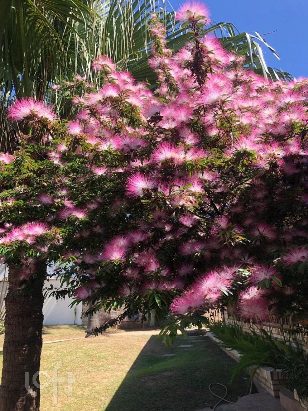 Imagem da propriedade 6