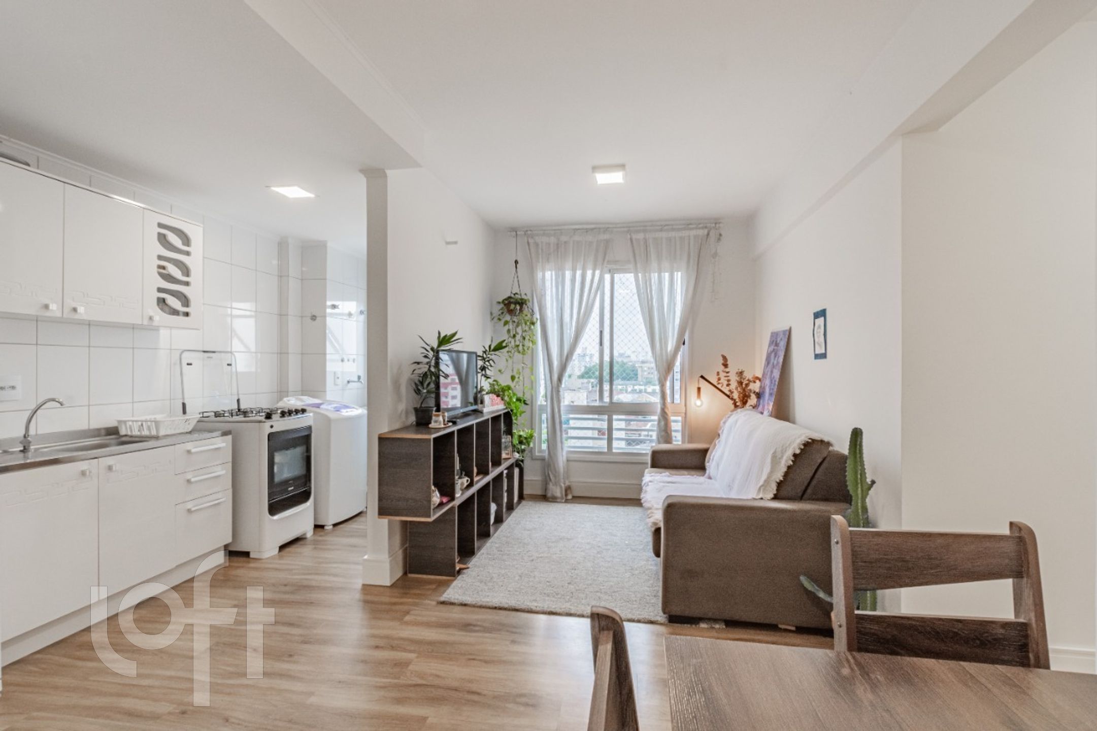 Imagem da propriedade 3