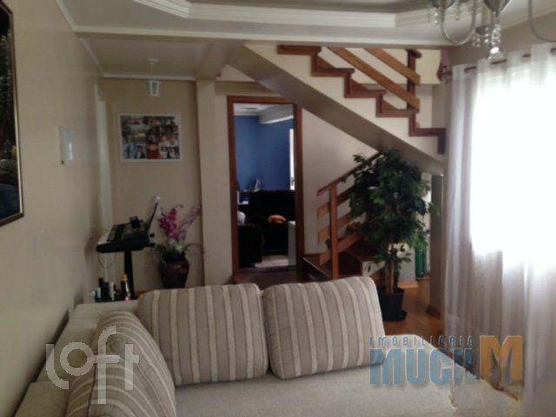 Imagem da propriedade 3