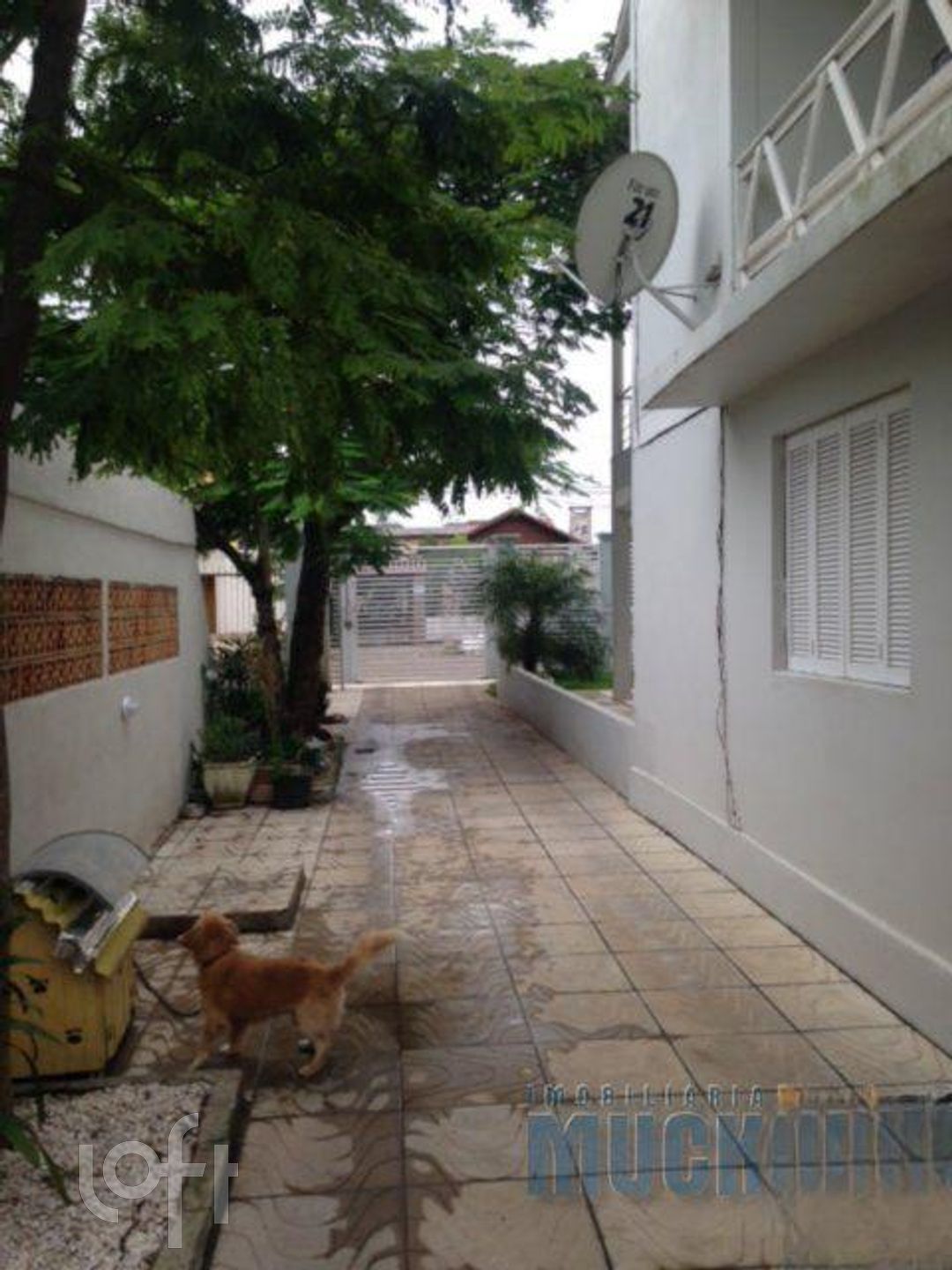 Imagem da propriedade 16