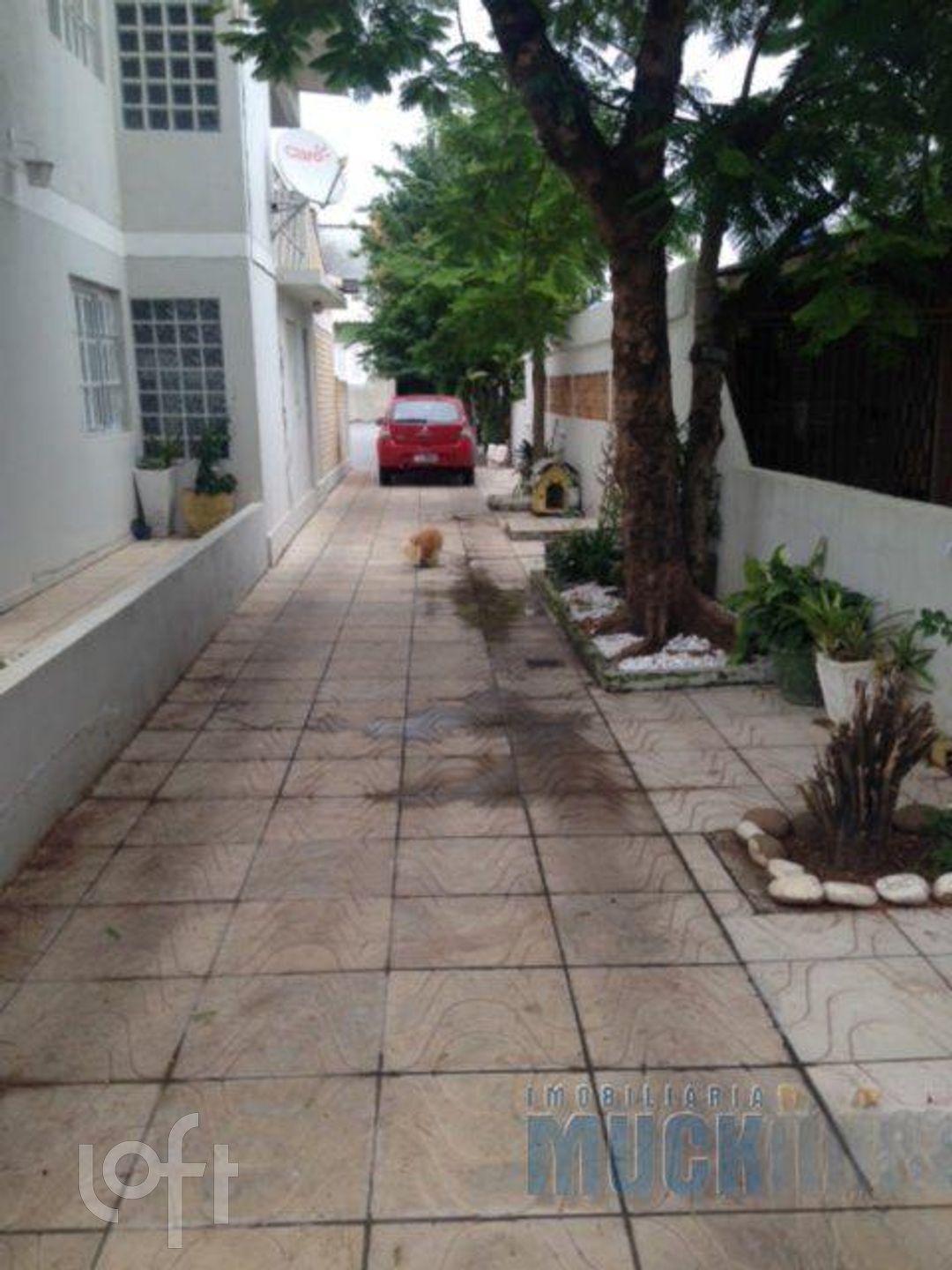 Imagem da propriedade 19