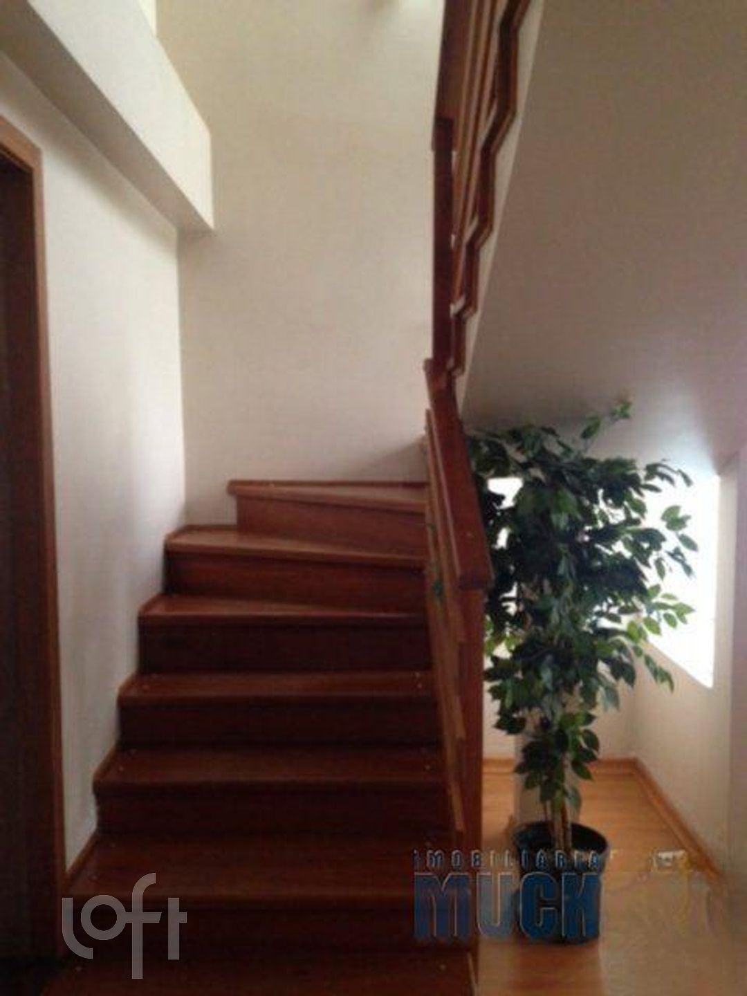 Imagem da propriedade 7