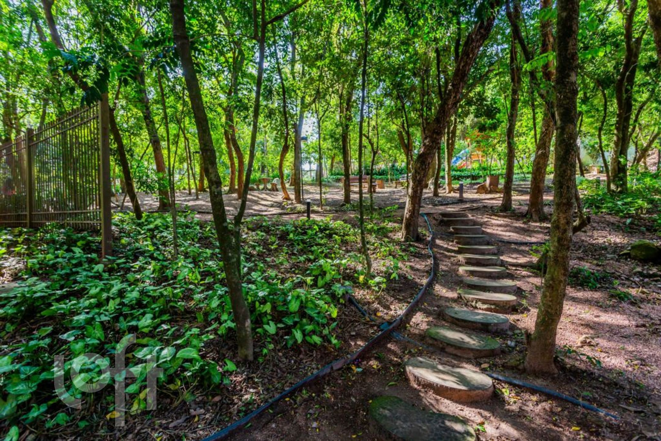 Imagem da propriedade 36