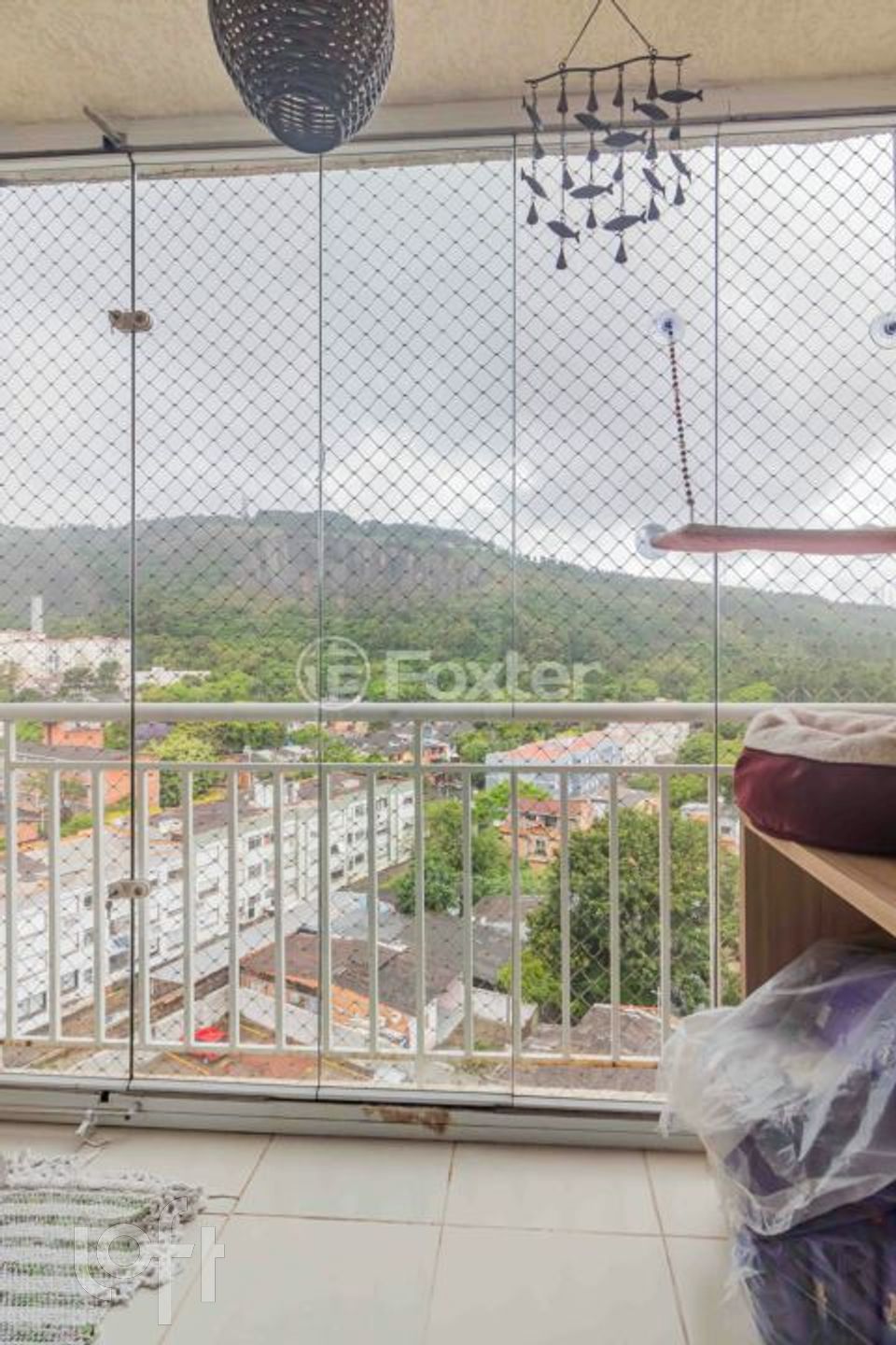 Imagem da propriedade 3