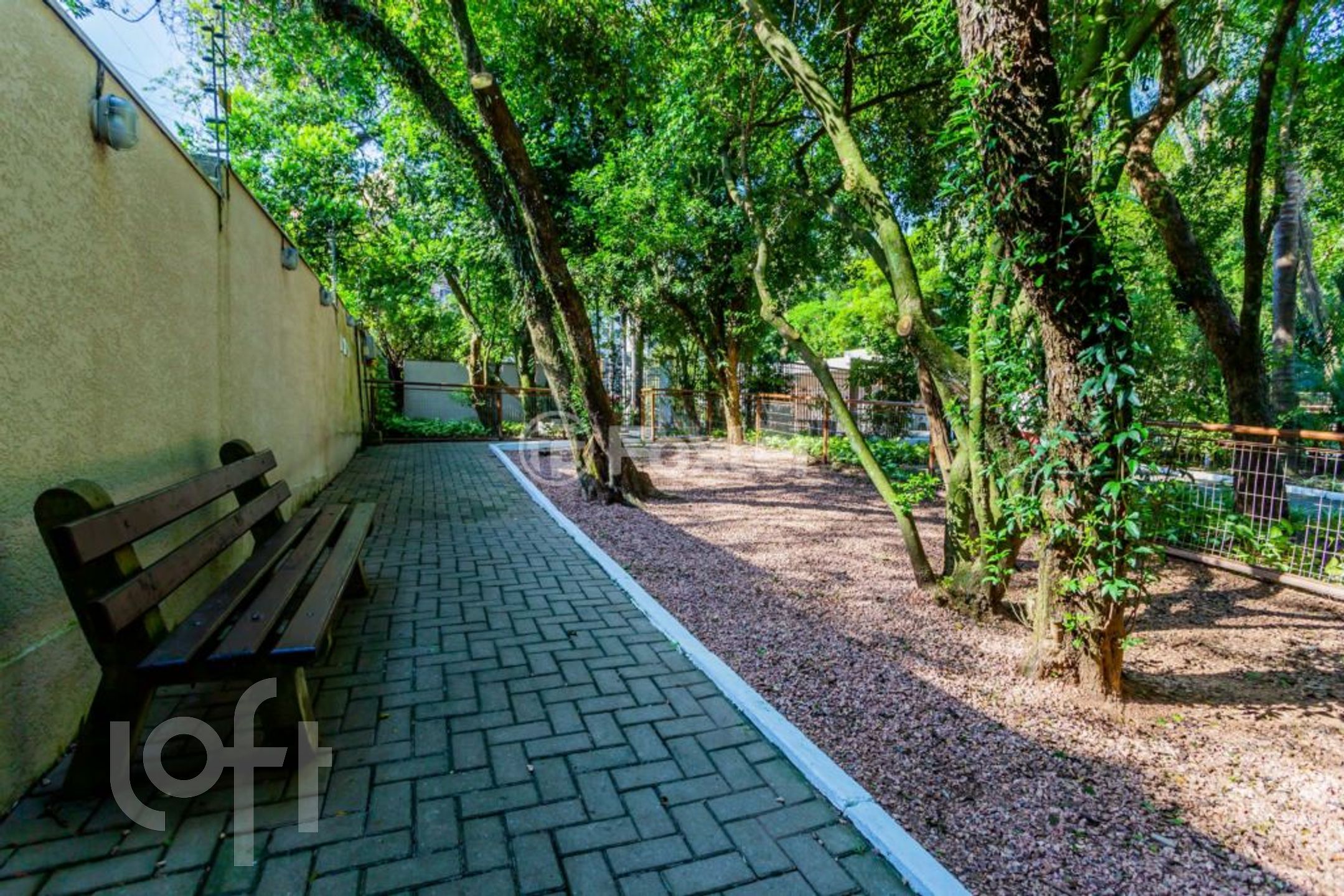 Imagem da propriedade 39