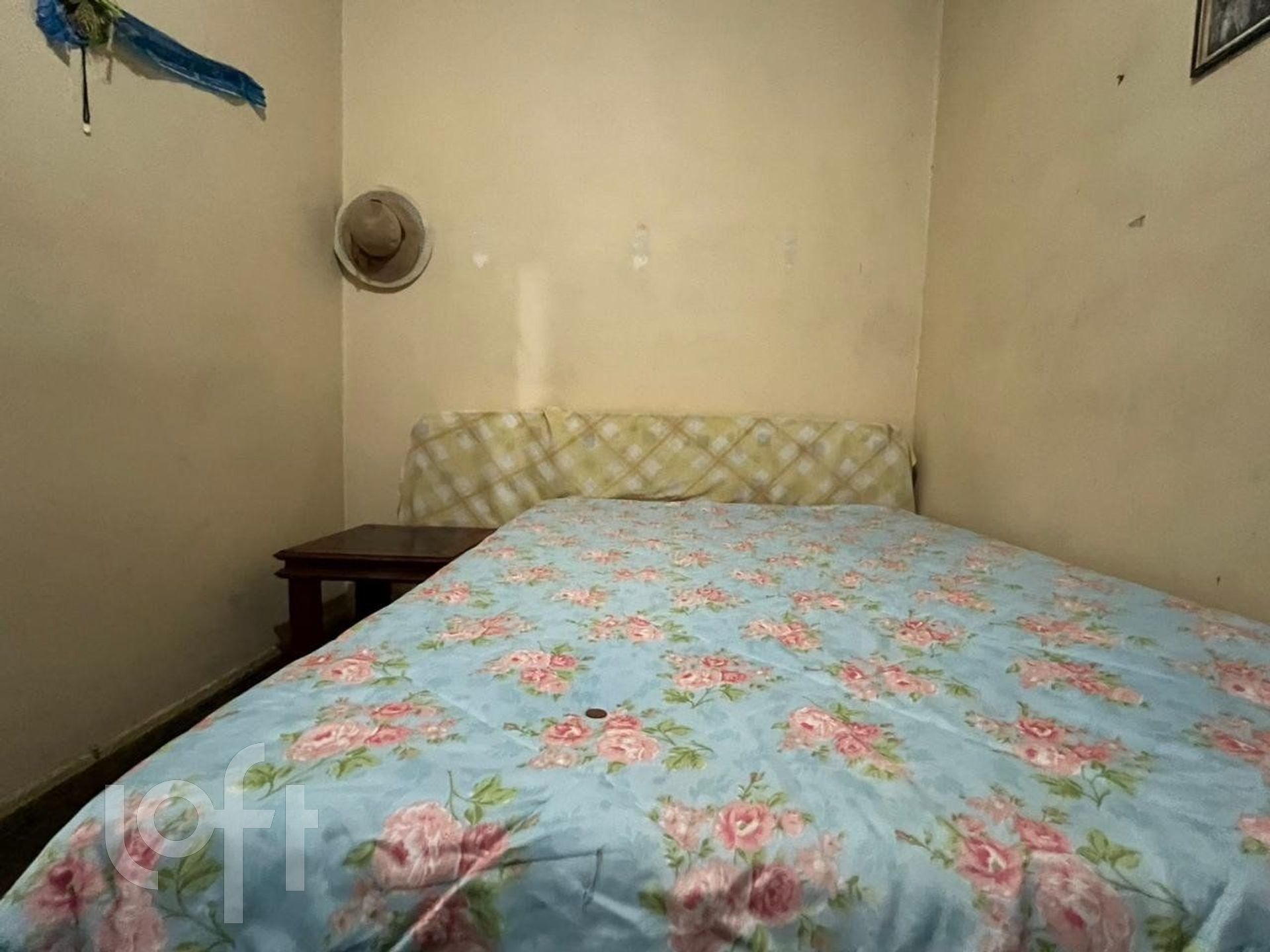 Imagem da propriedade 12