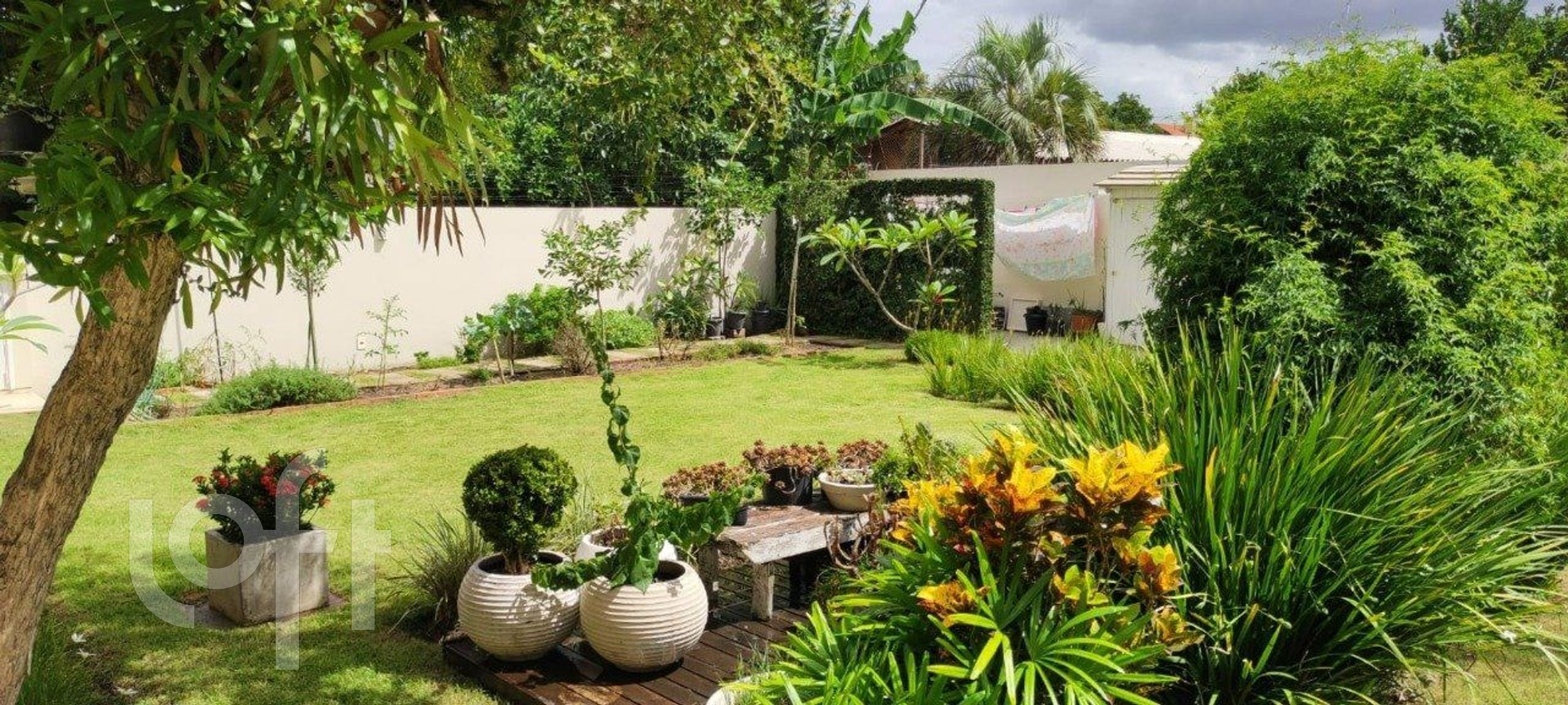 Imagem da propriedade 12