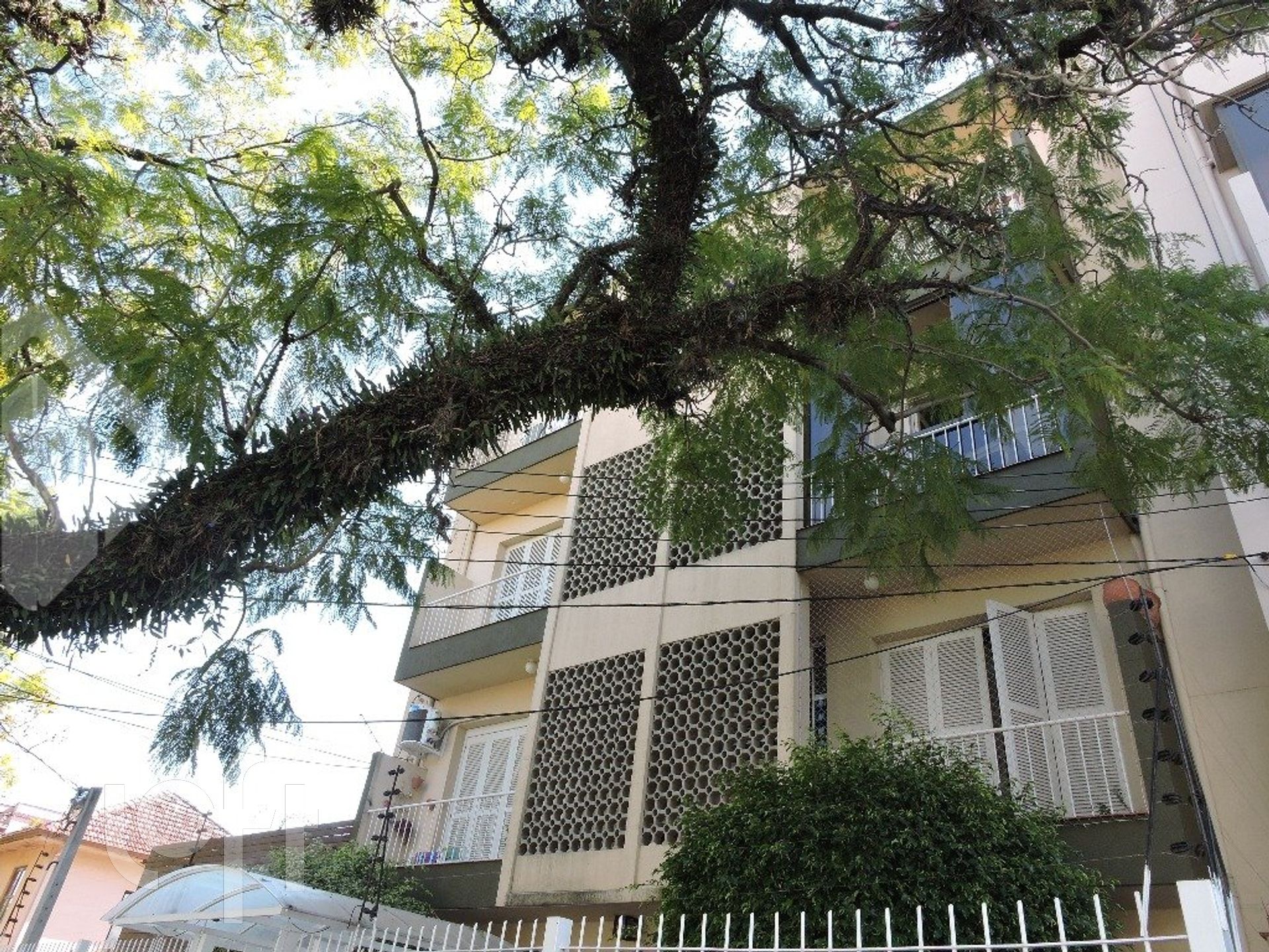 Imagem da propriedade 7