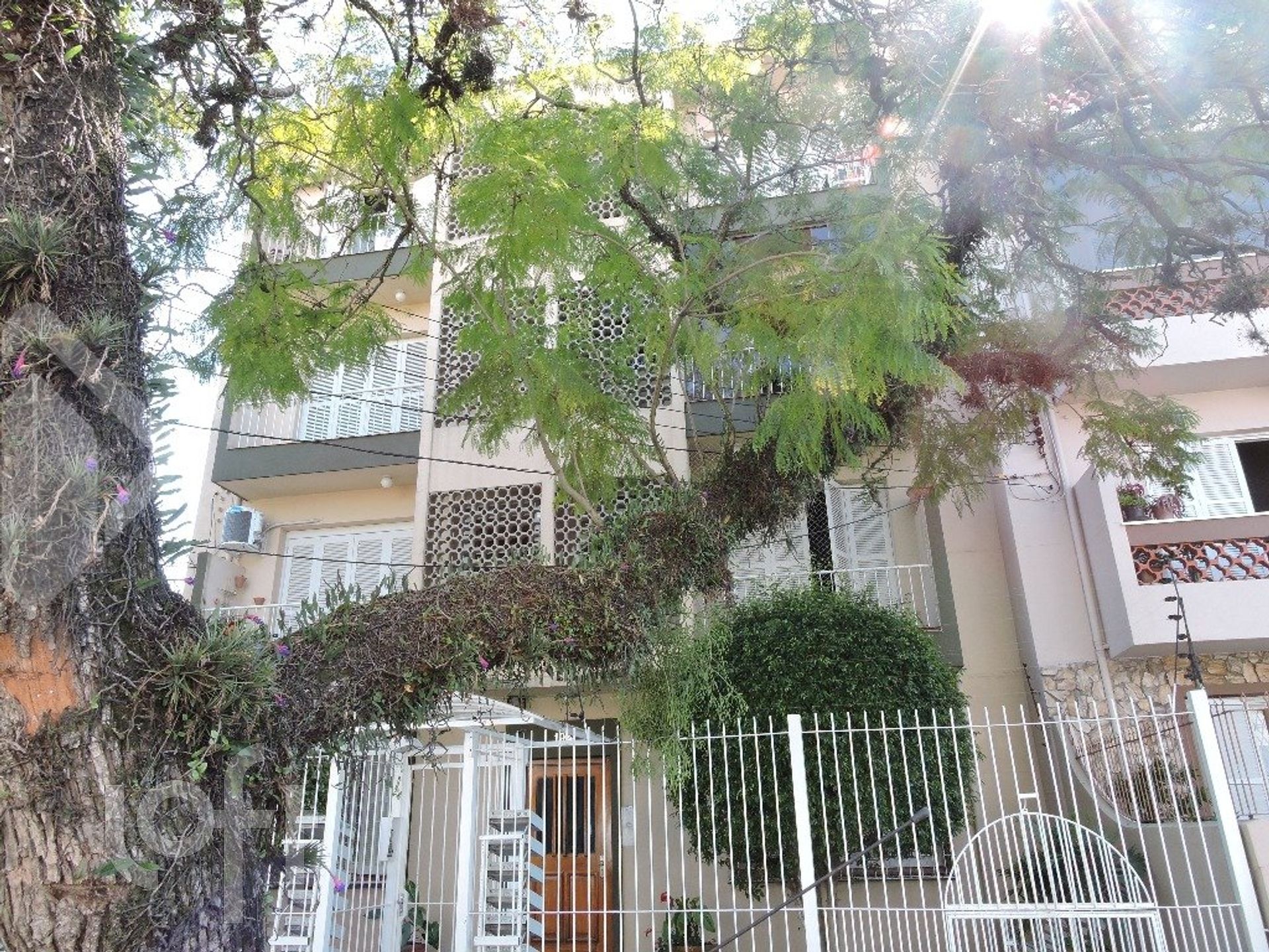 Imagem da propriedade 6