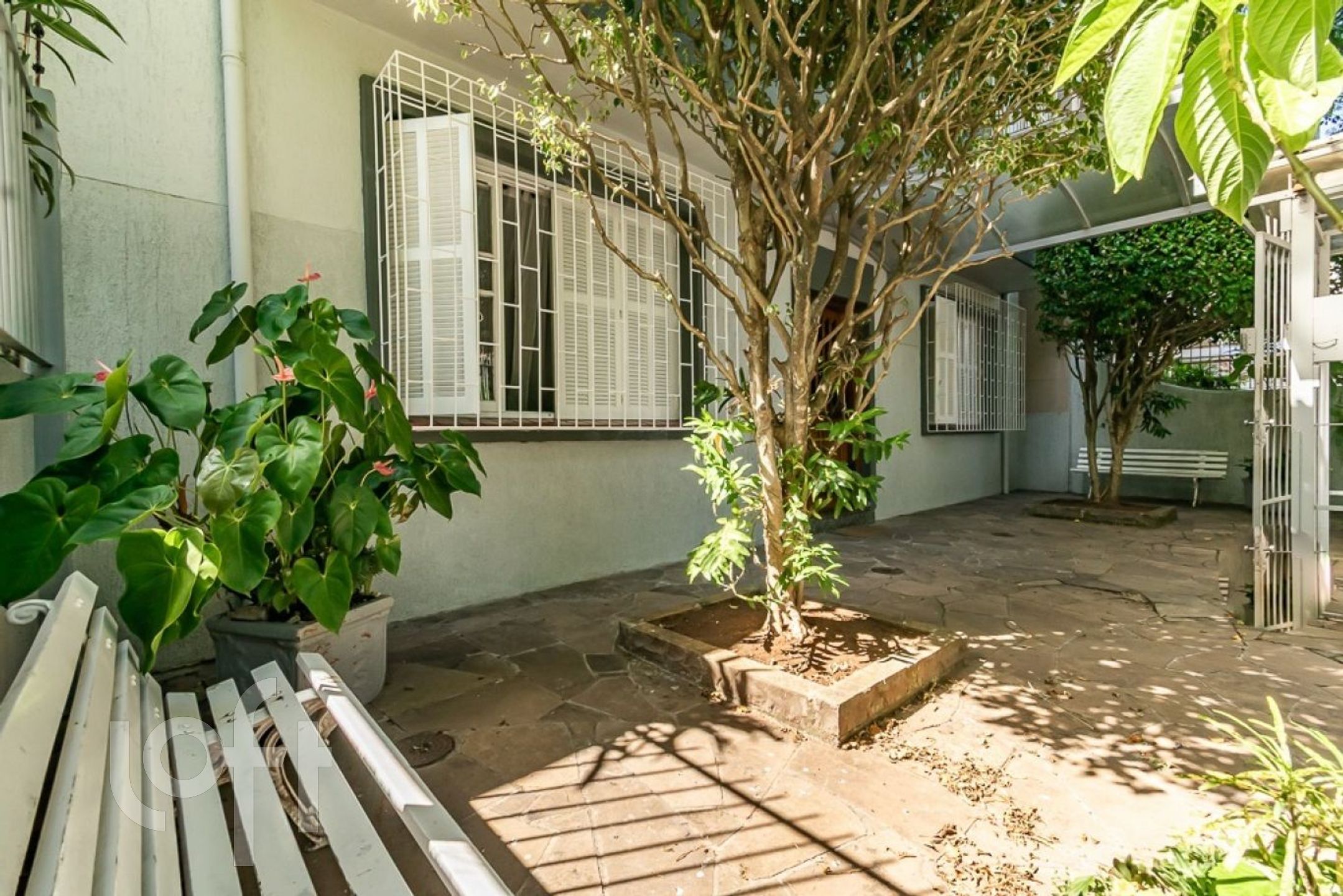 Imagem da propriedade 30